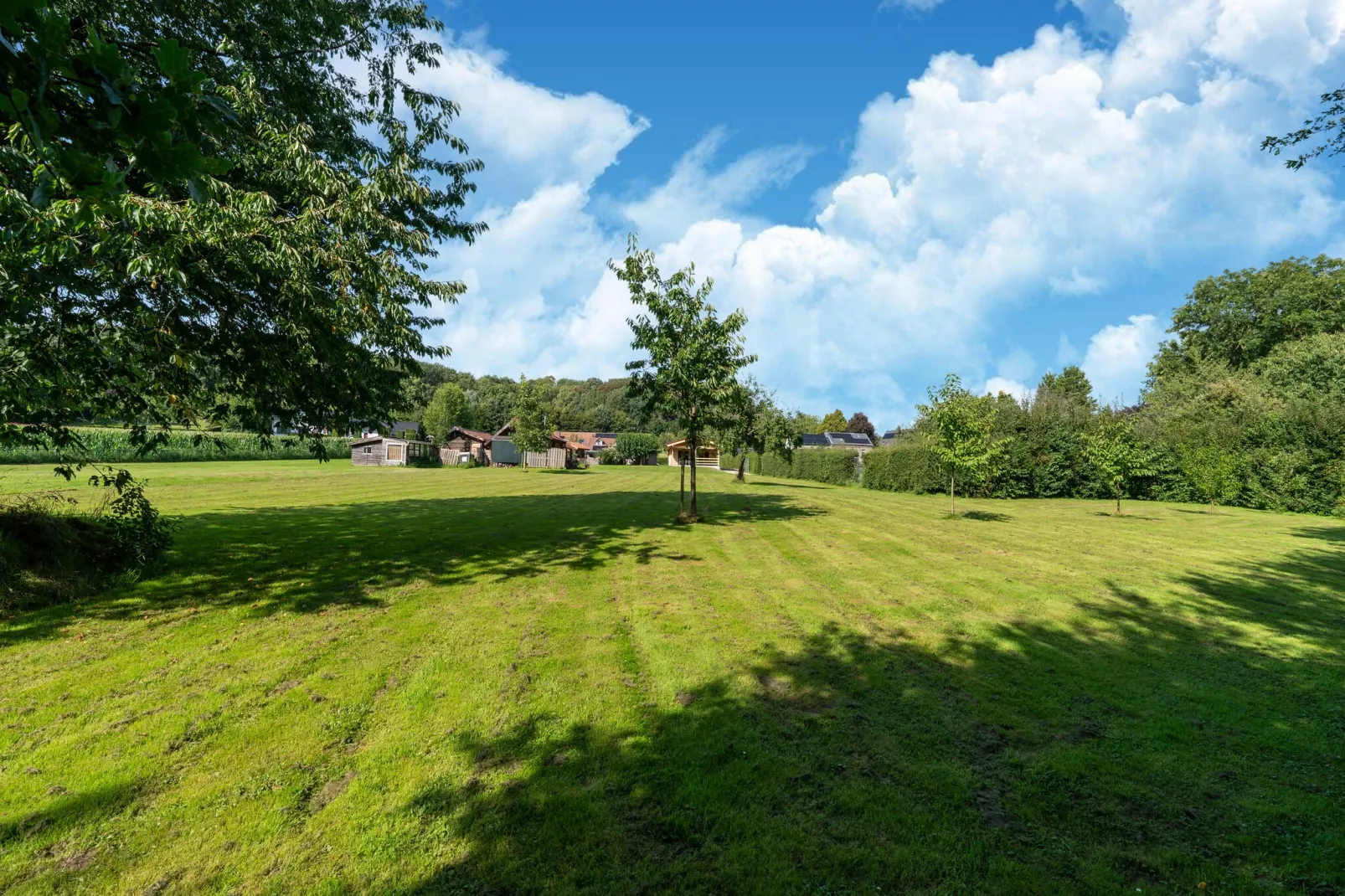 Bie Leentje on the meadow-Areas summer 1km