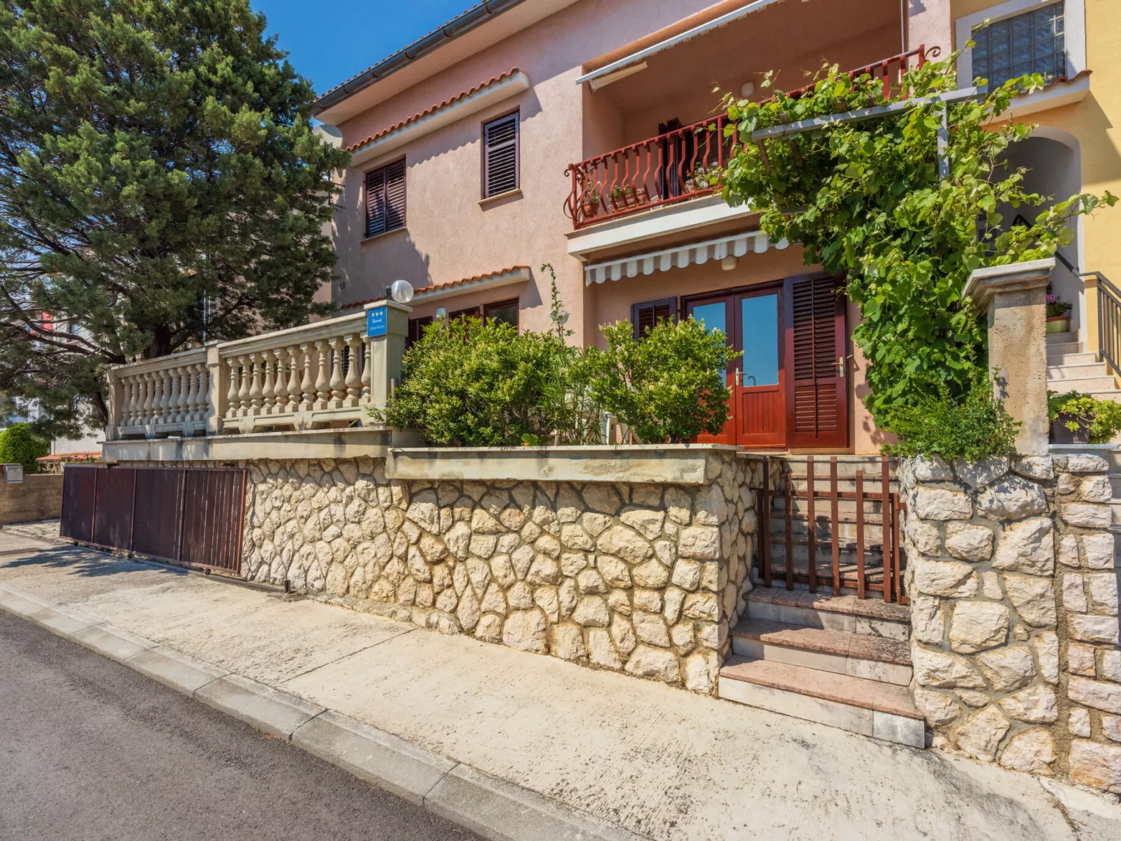 Agava mali / HR-11139-01