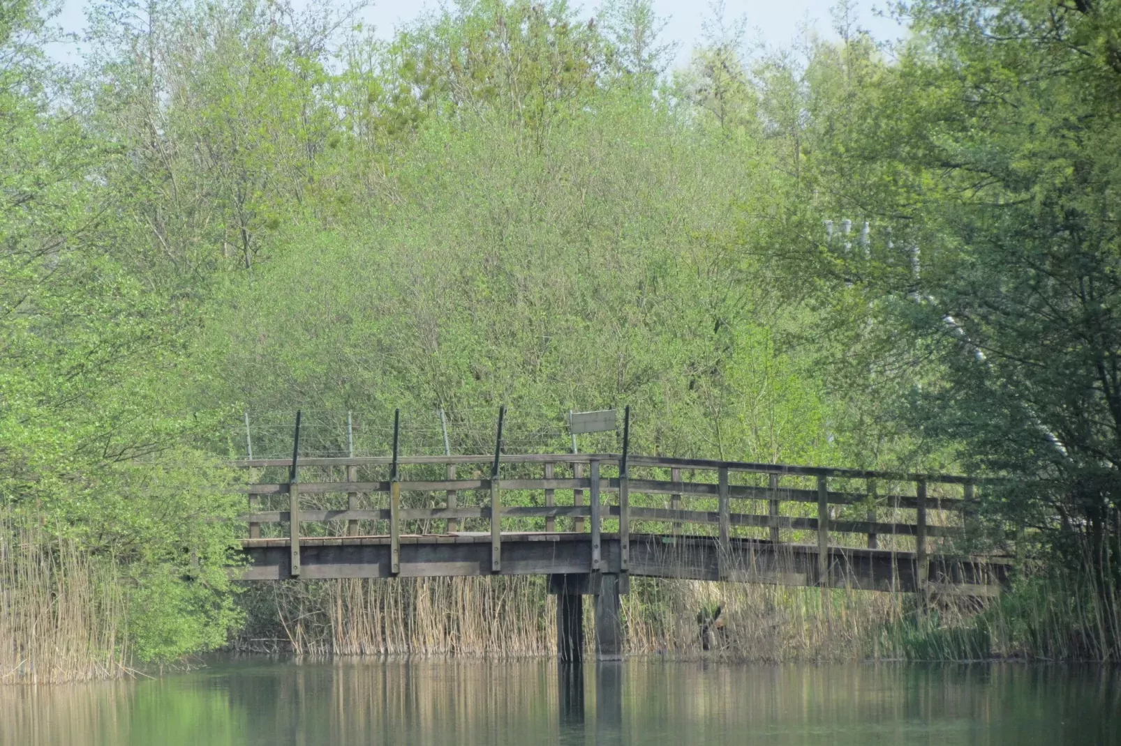 Vakantiepark 't Broeckhuys 1-Areas summer 1km