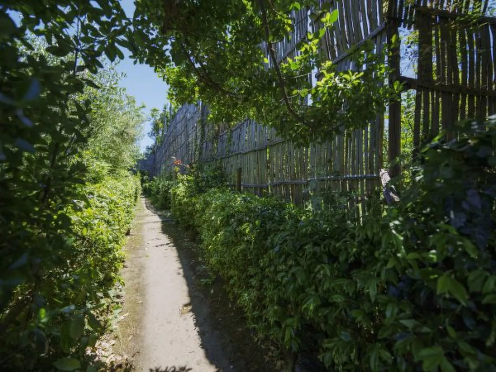 Il terrazzino di Villa Preziosa al Pizzo
