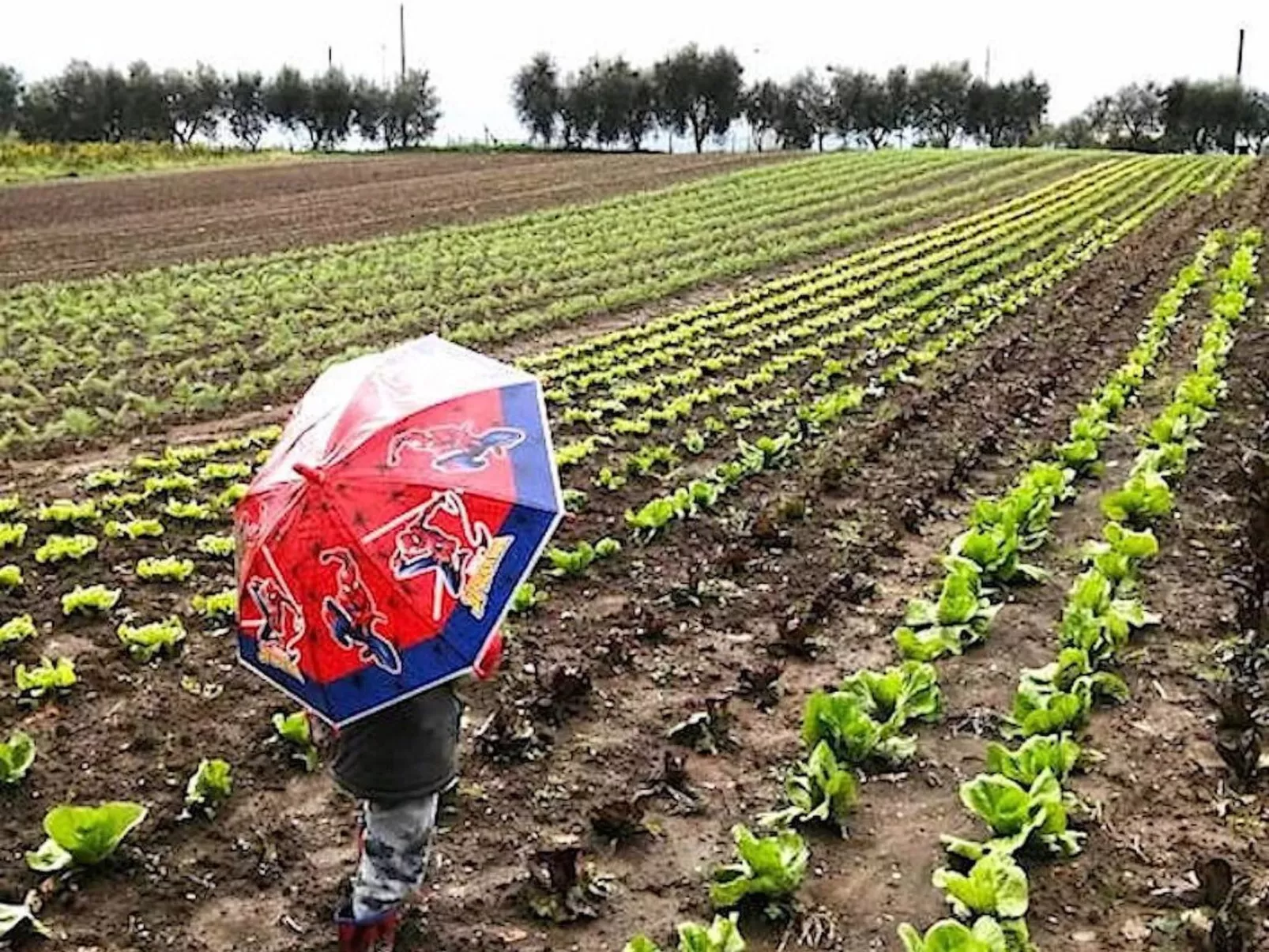 Lets di Proietti' Ferienhaus