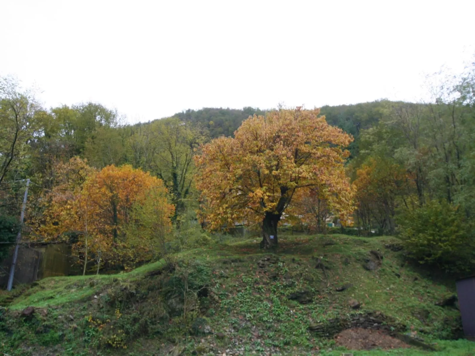 Für 3 Personen ca. 37 m&sup2- in Lumarzo, Norditalien (Ligurien)