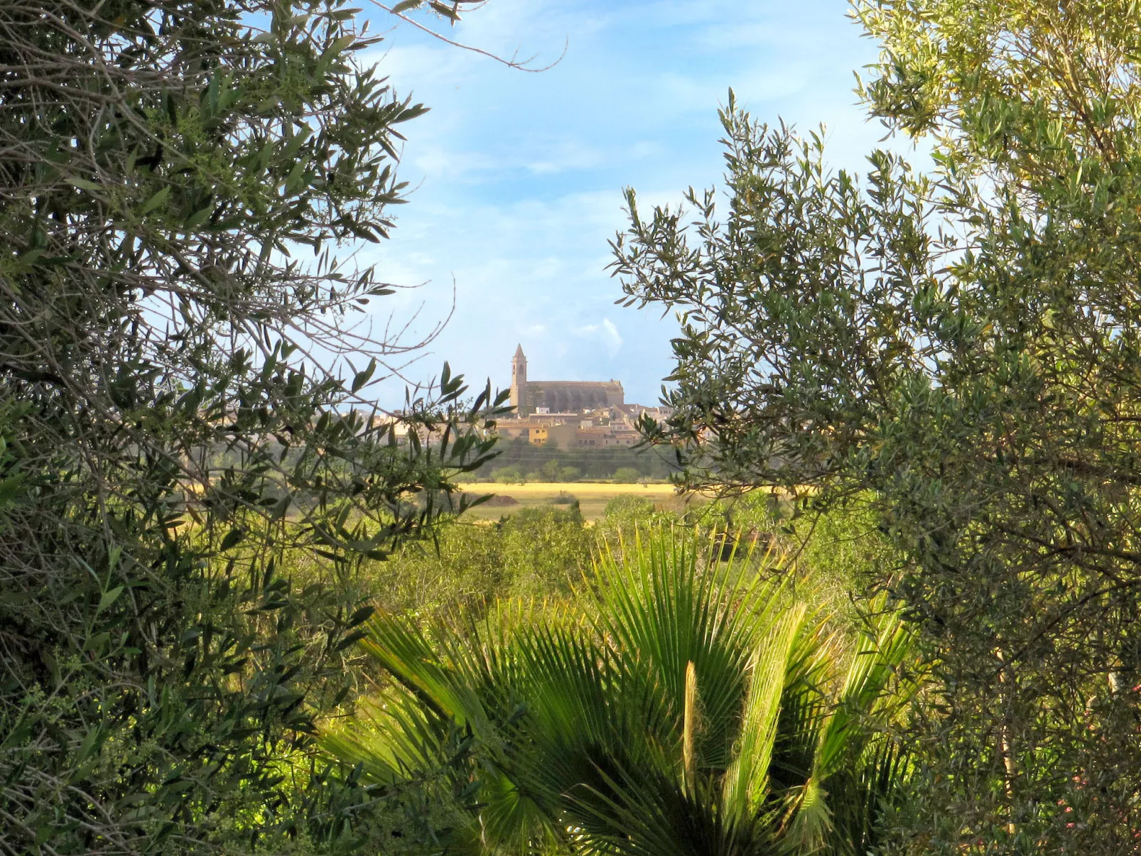 Villa S'Aguila, Es Cap Des Moro, Santanyí, 4 pax