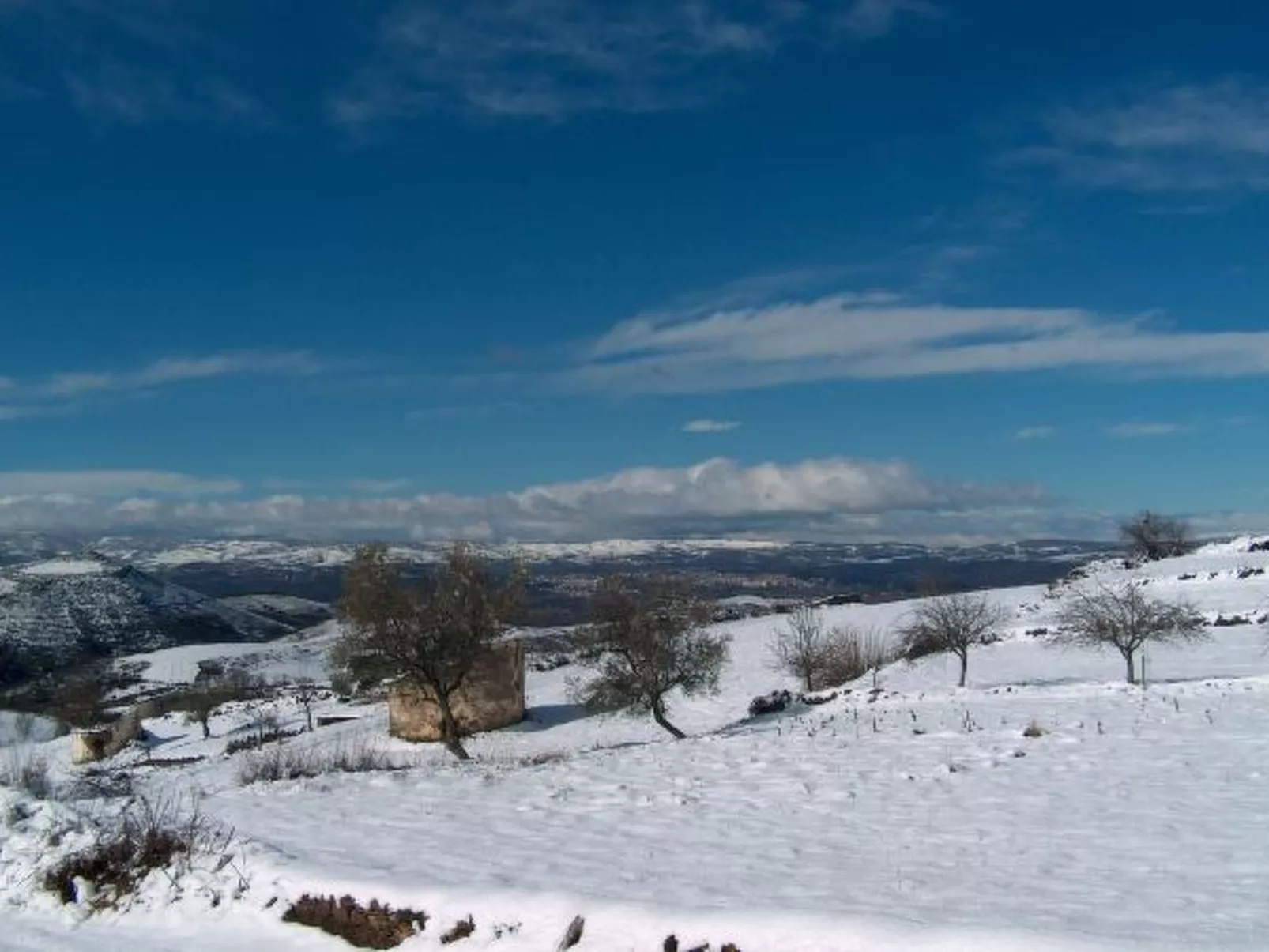 CASA LUIS GONZAGA - UNI. COIMBRA by VACATIONY