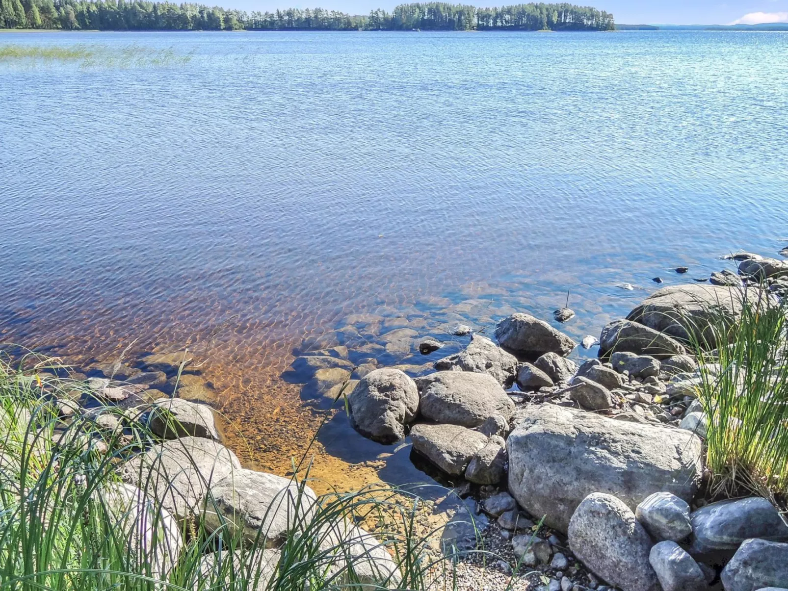 Kolin mesikämmen - Dedans