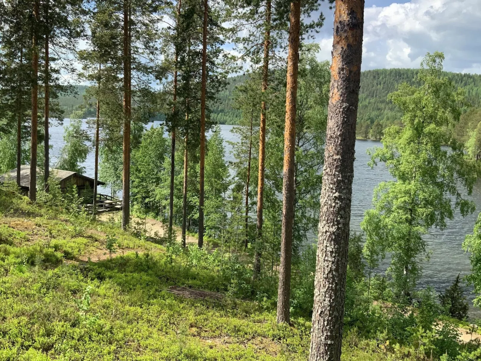 Saunaharju 5 - Inside