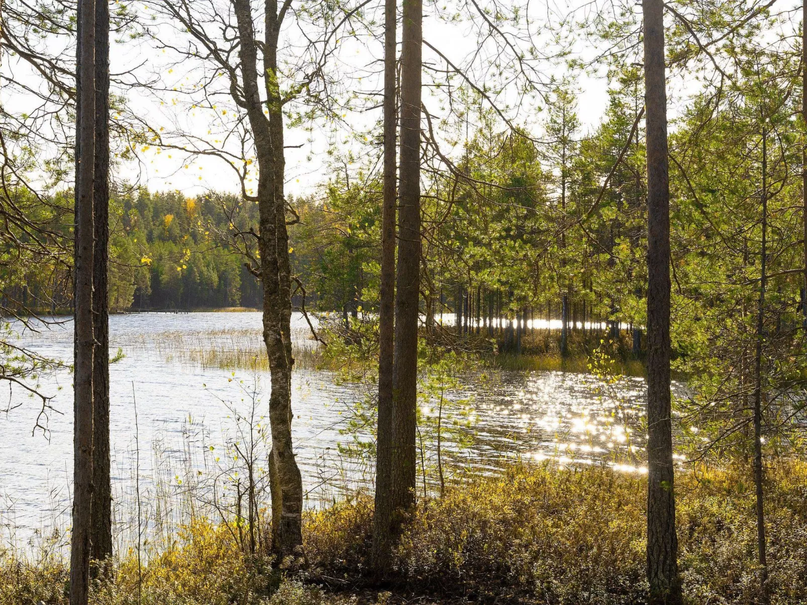 Villa käpytikka - Dedans