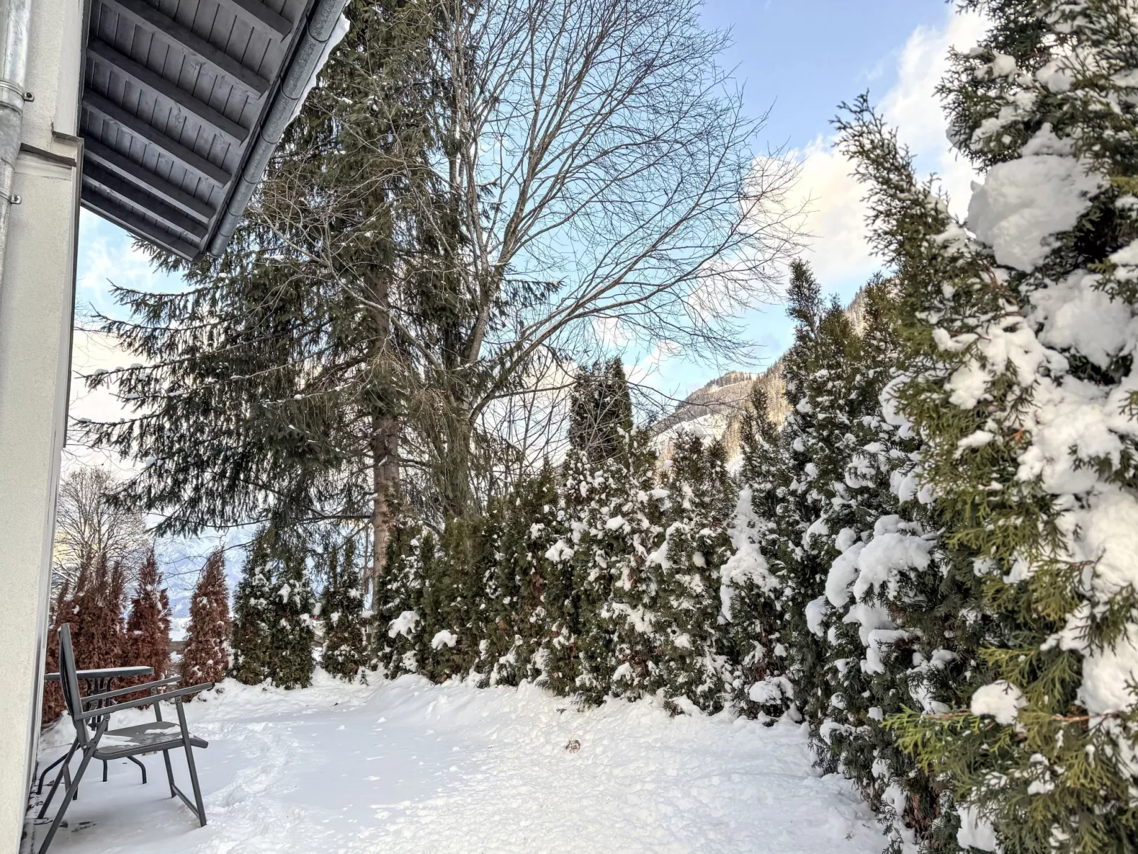 Apartment Anneliese - Dehors