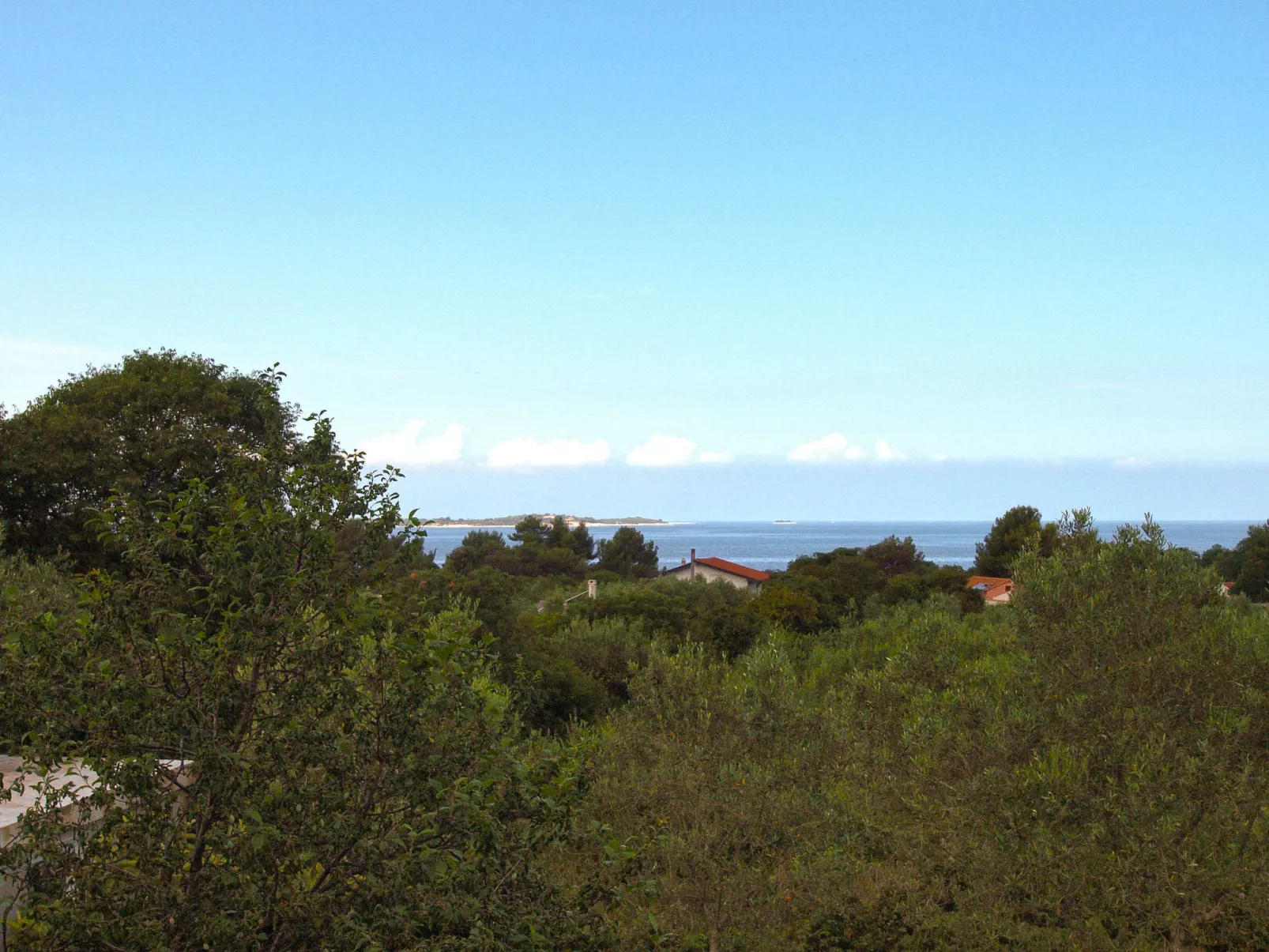 Apartment 1665 - Image-tags.info