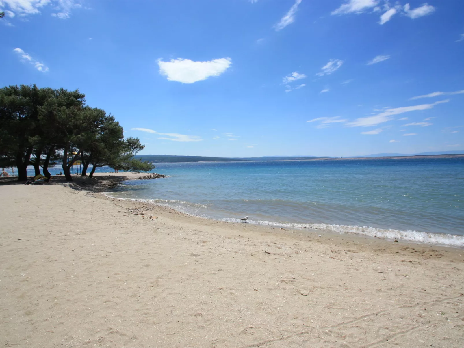 ARBORETUM 4 / HR-09911-02 - Image-tags.info