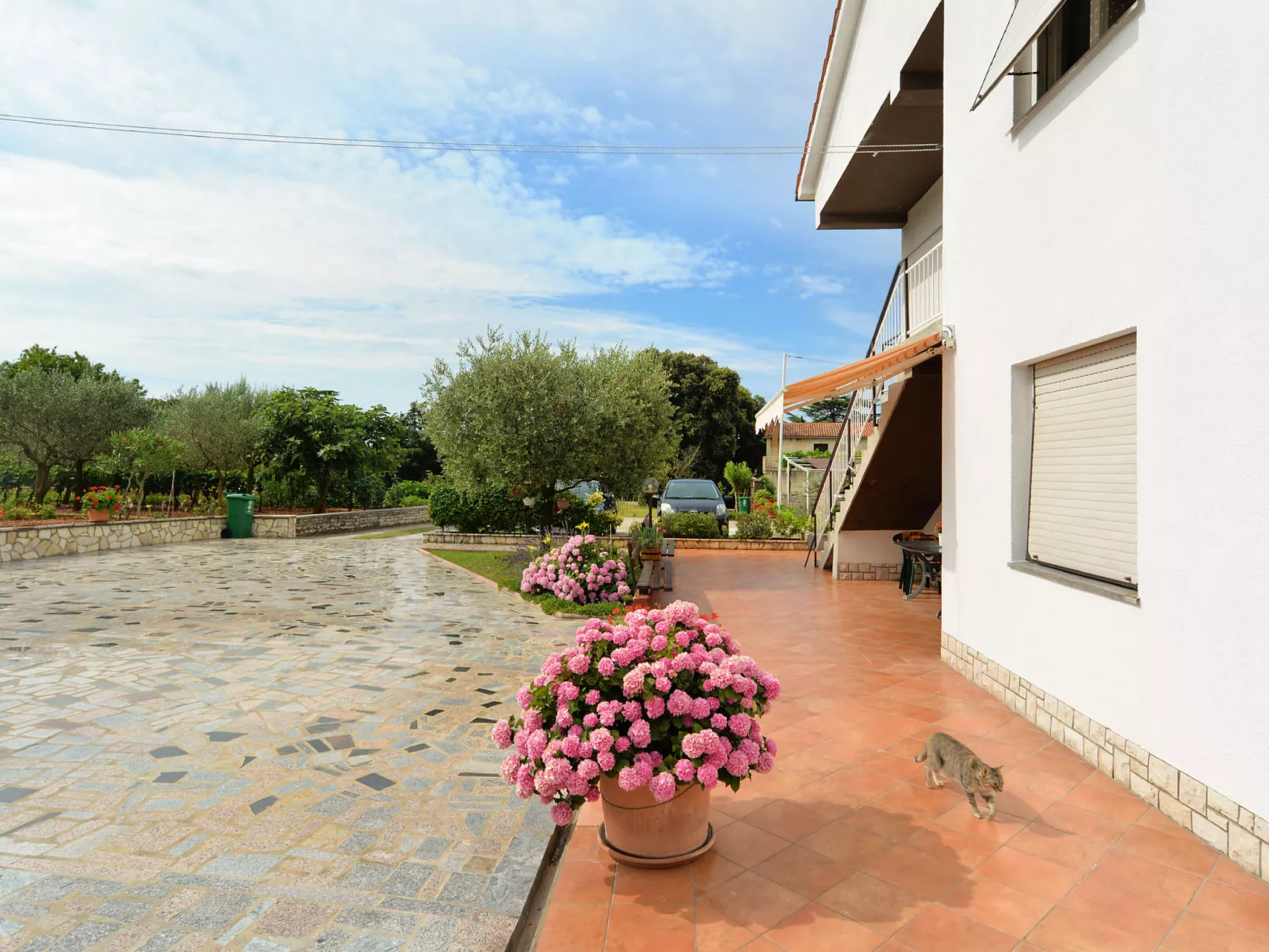 Apartment 1552 - Image-tags.info