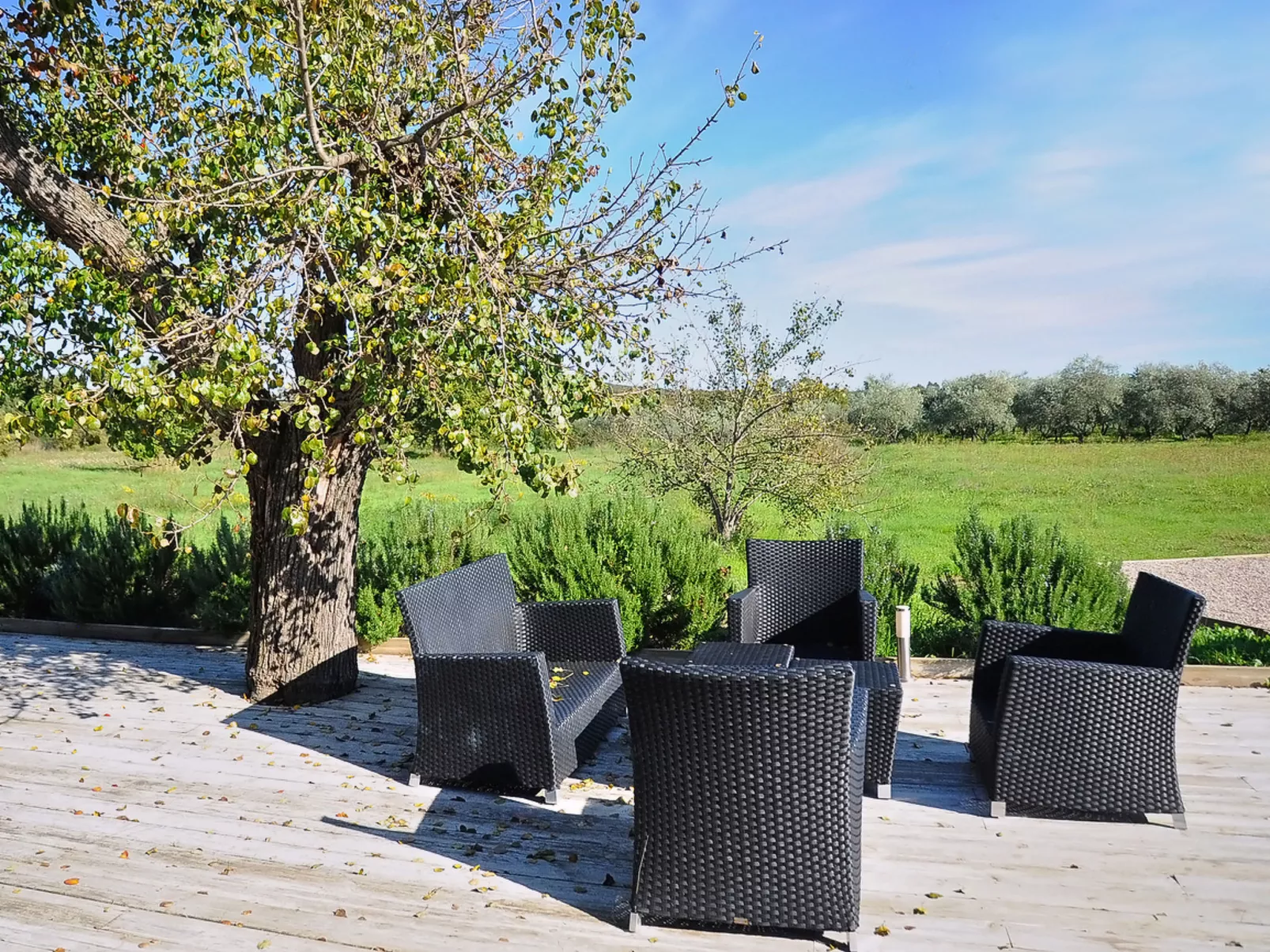 Villa Mojito - Draußen