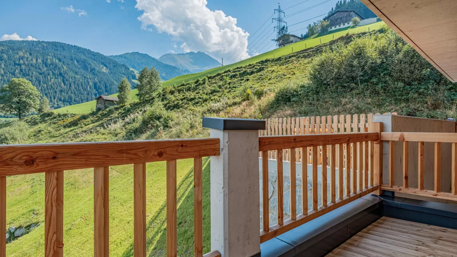Blick ins Salzachtal-View summer
