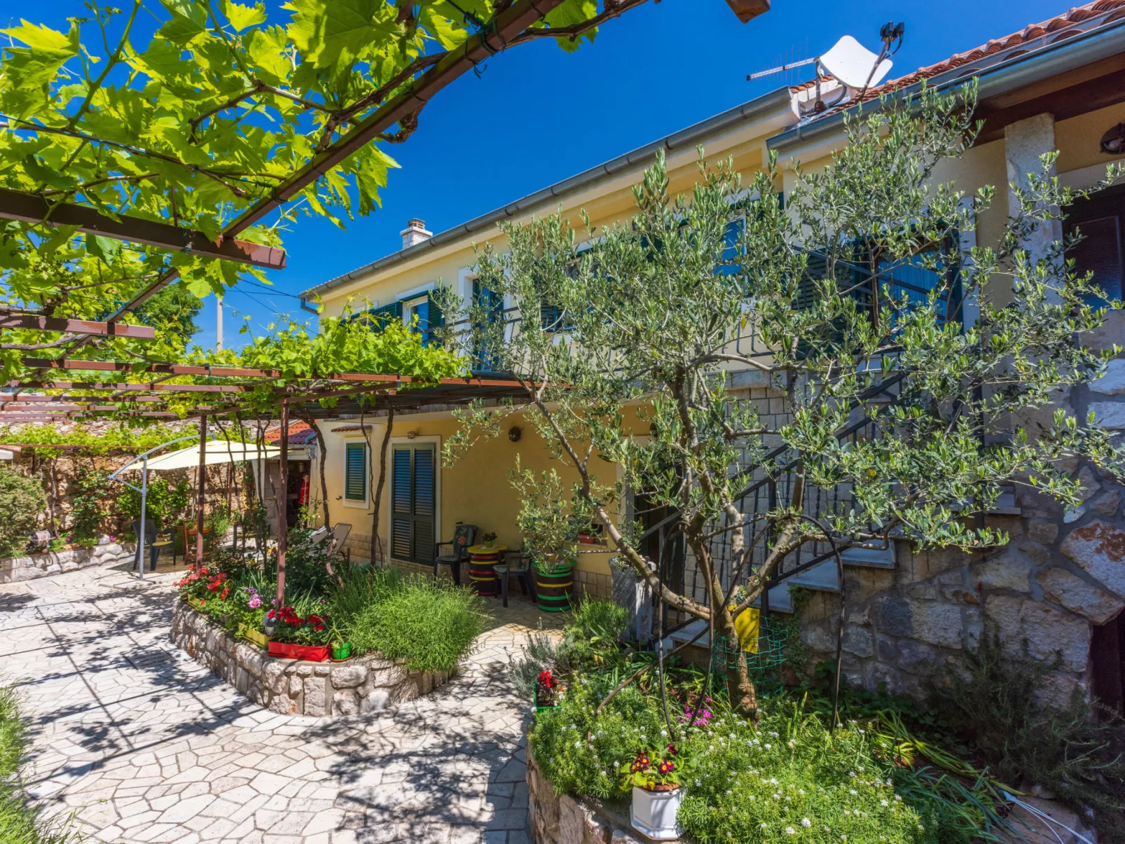 MANAS / HR-10925-01 - Image-tags.info