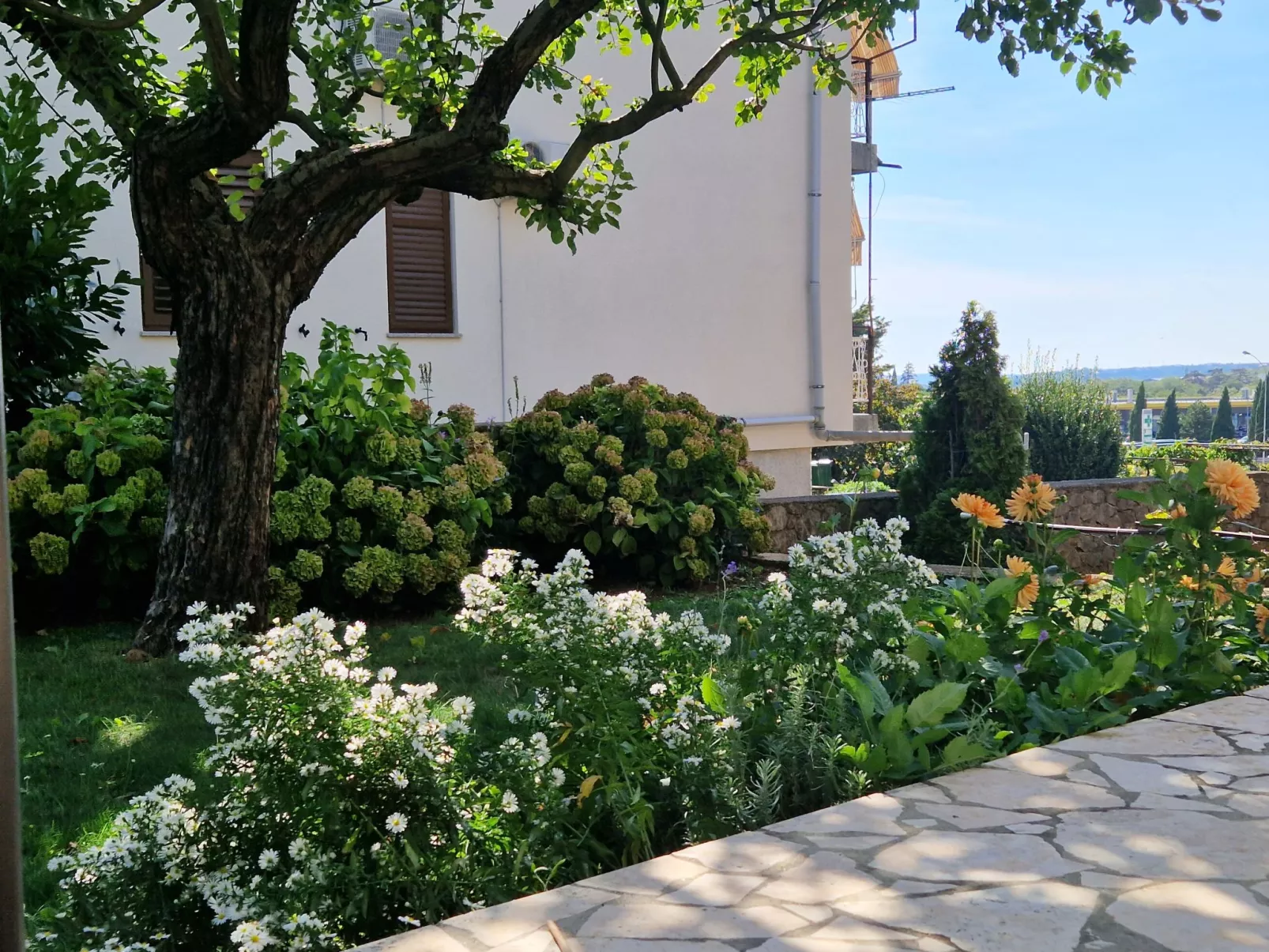 Apartment 2390 - Image-tags.info