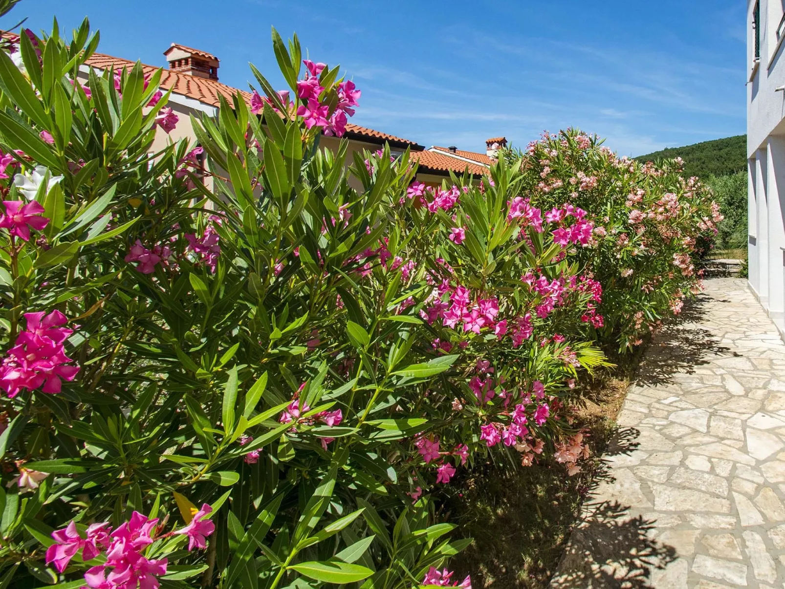 Apartment 2024 - Dehors