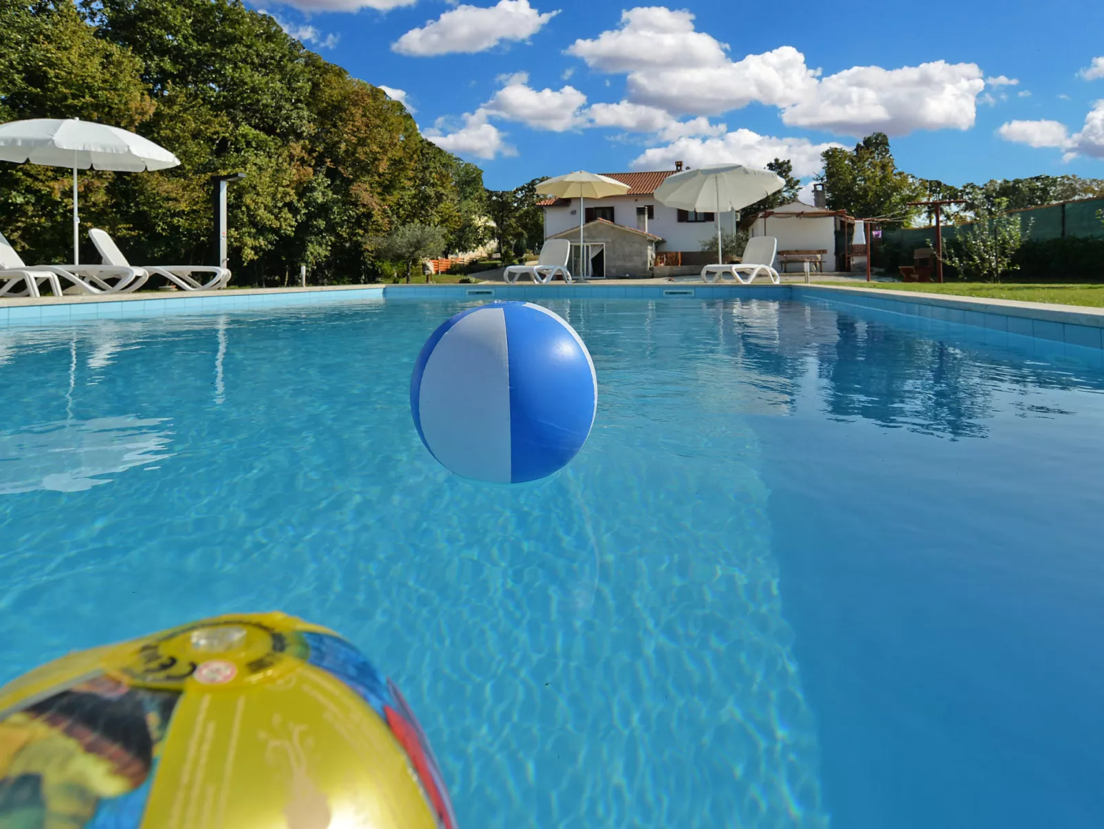 Apartment 1561 - Image-tags.info