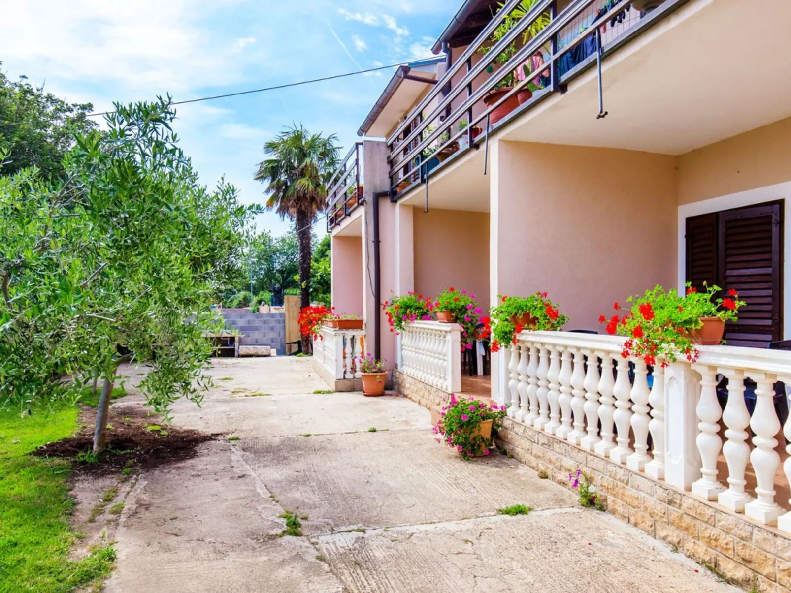 Vitomir - Image-tags.info