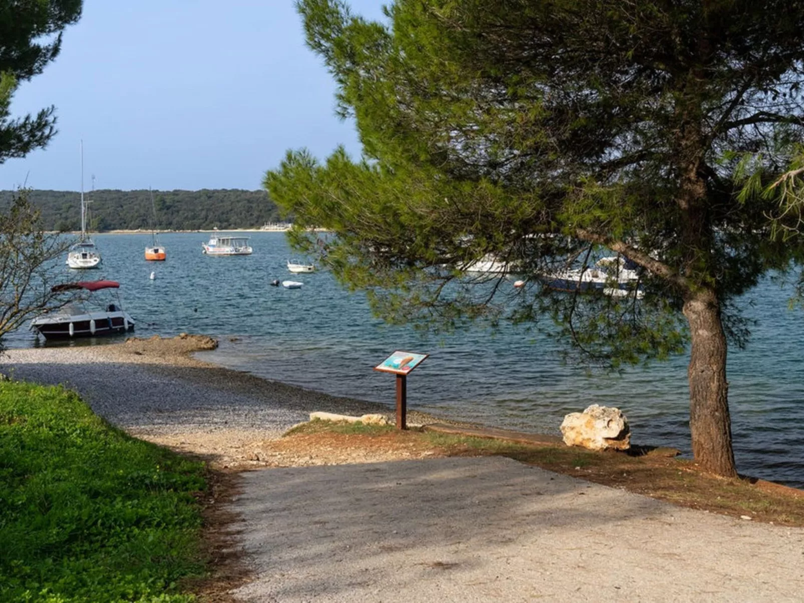 Erla - Image-tags.info