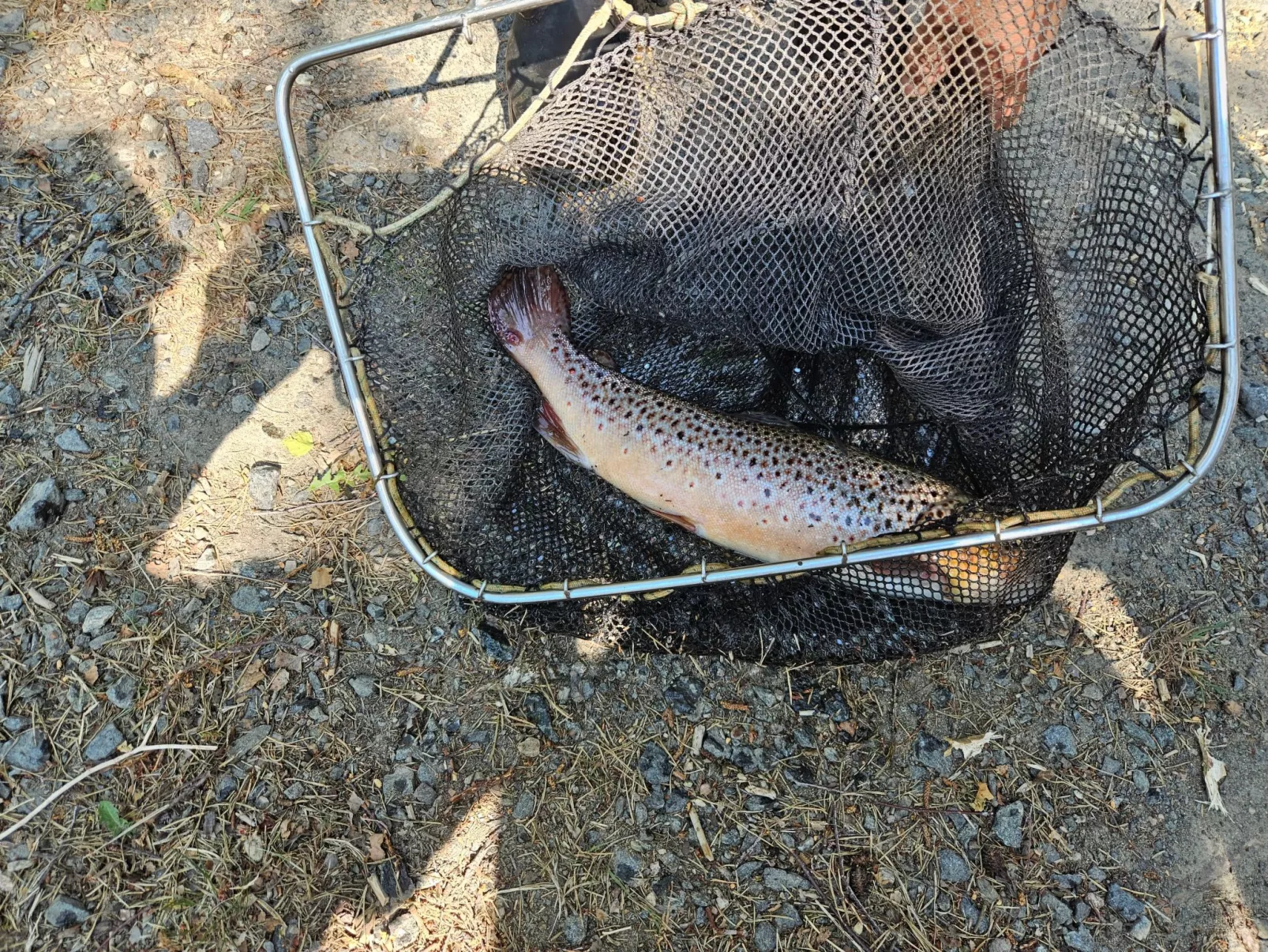 Gemütliches Cottage mit Whirlpool - Image-tags.info