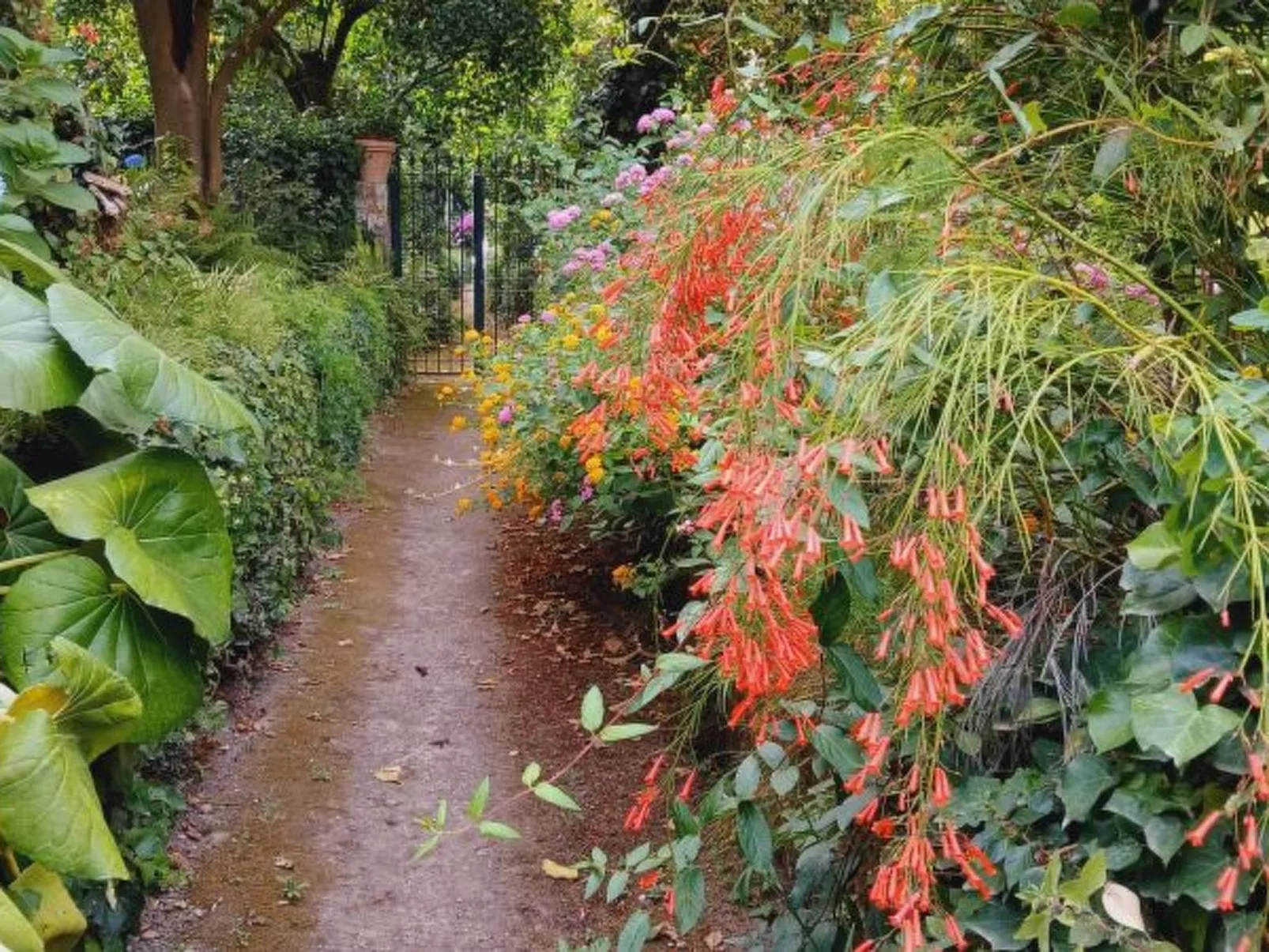 La Veranda di Villa Preziosa al Pizzo - Image-tags.info