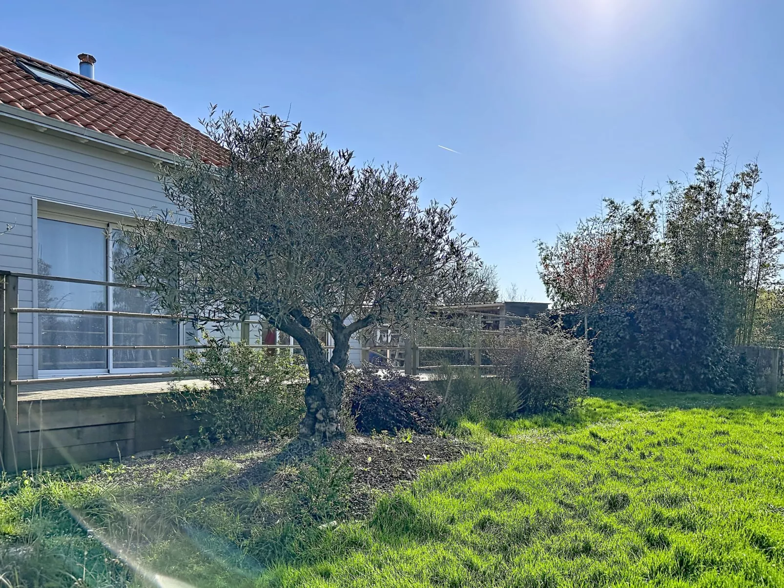 Les Rainettes - Draußen