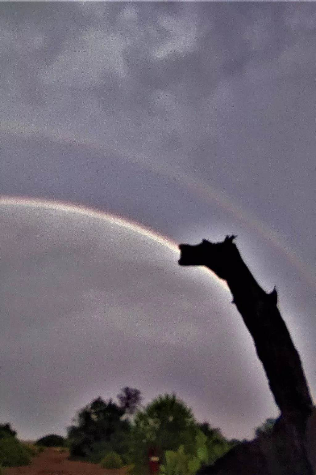 Luxuriöse Duplex-Wohnungen in Cirali - Dehors