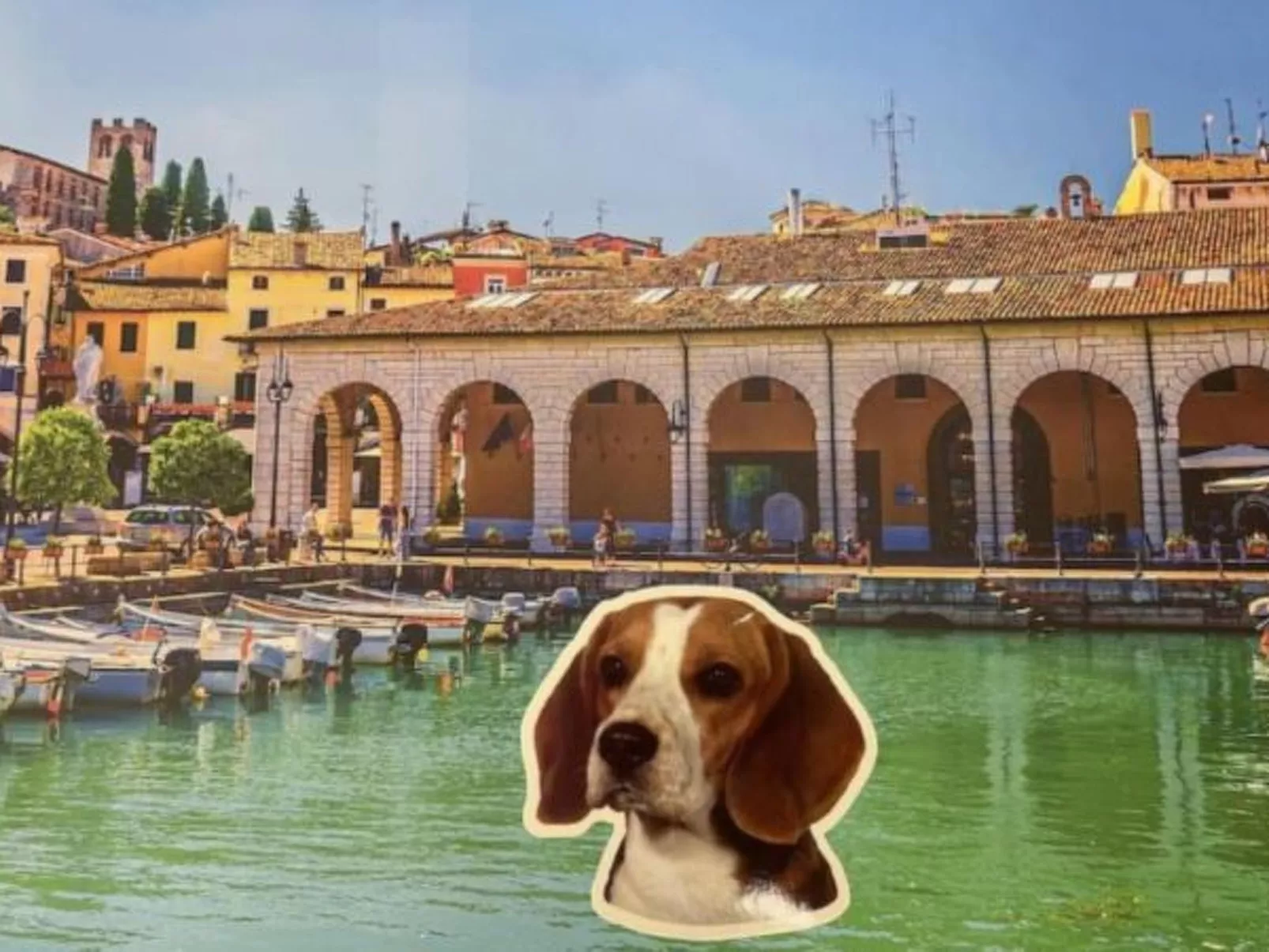 Desenzanoloft Let it be a Dream Renovated 2025 - Image-tags.info