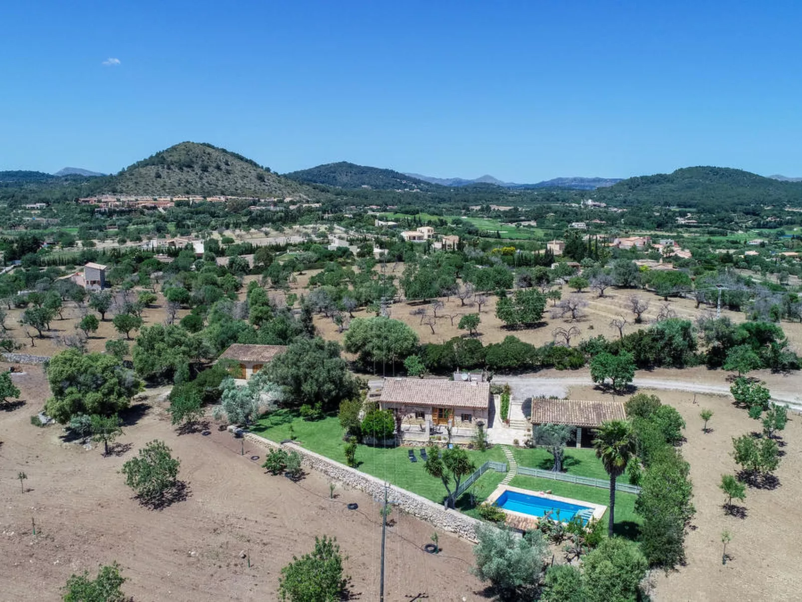 Almendras - Image-tags.info