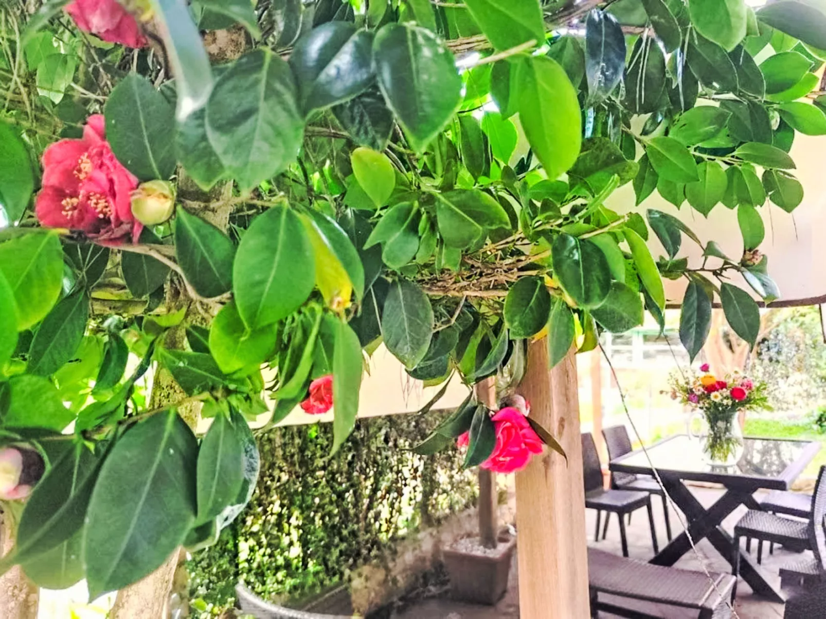 Atelier Vella - Dehors