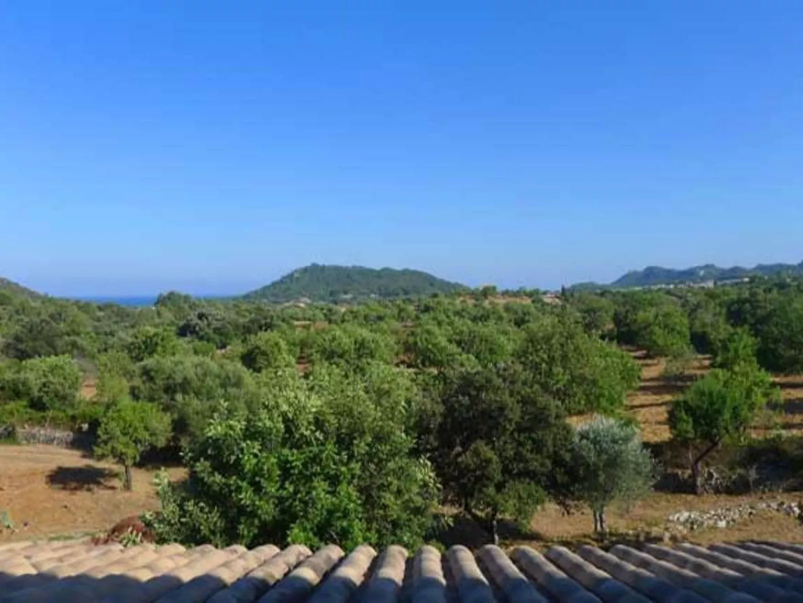 Finca 'Es Claper' mit privatem Fischteich - Draußen