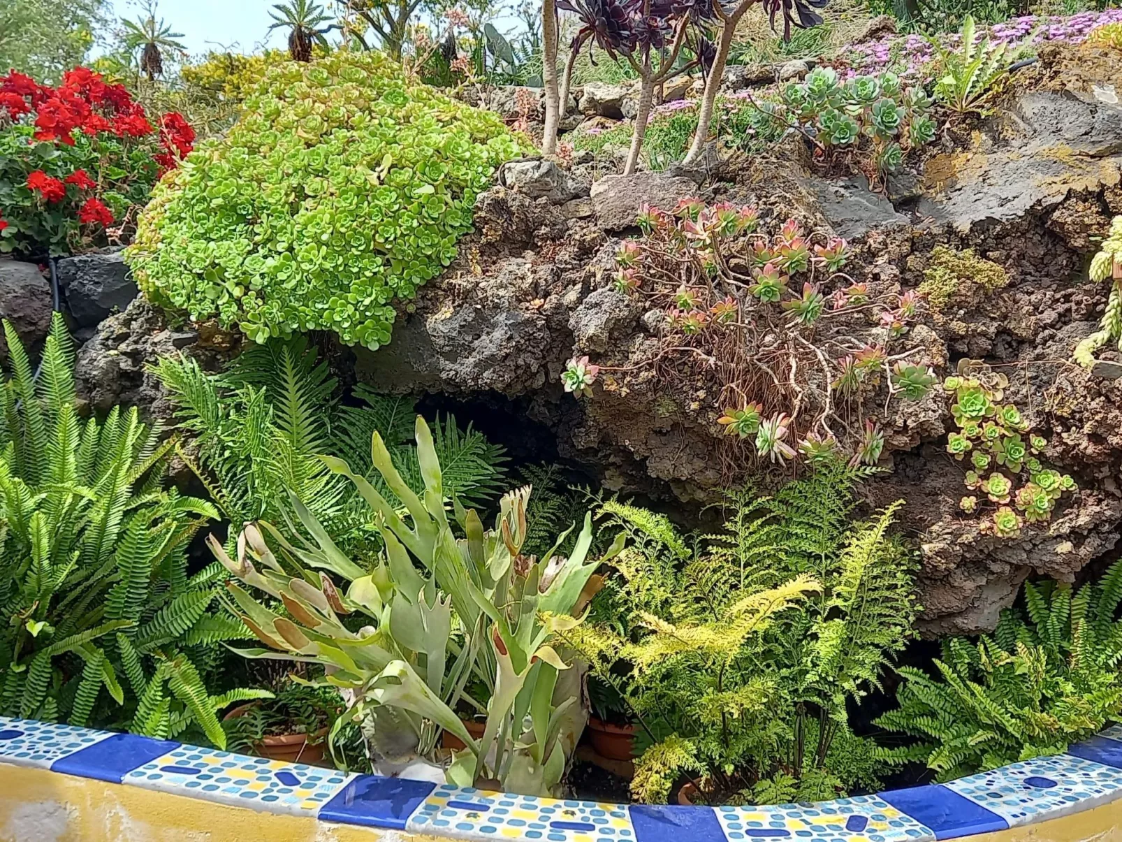 "Casa El Vallito" schönes Steinhaus - Dehors