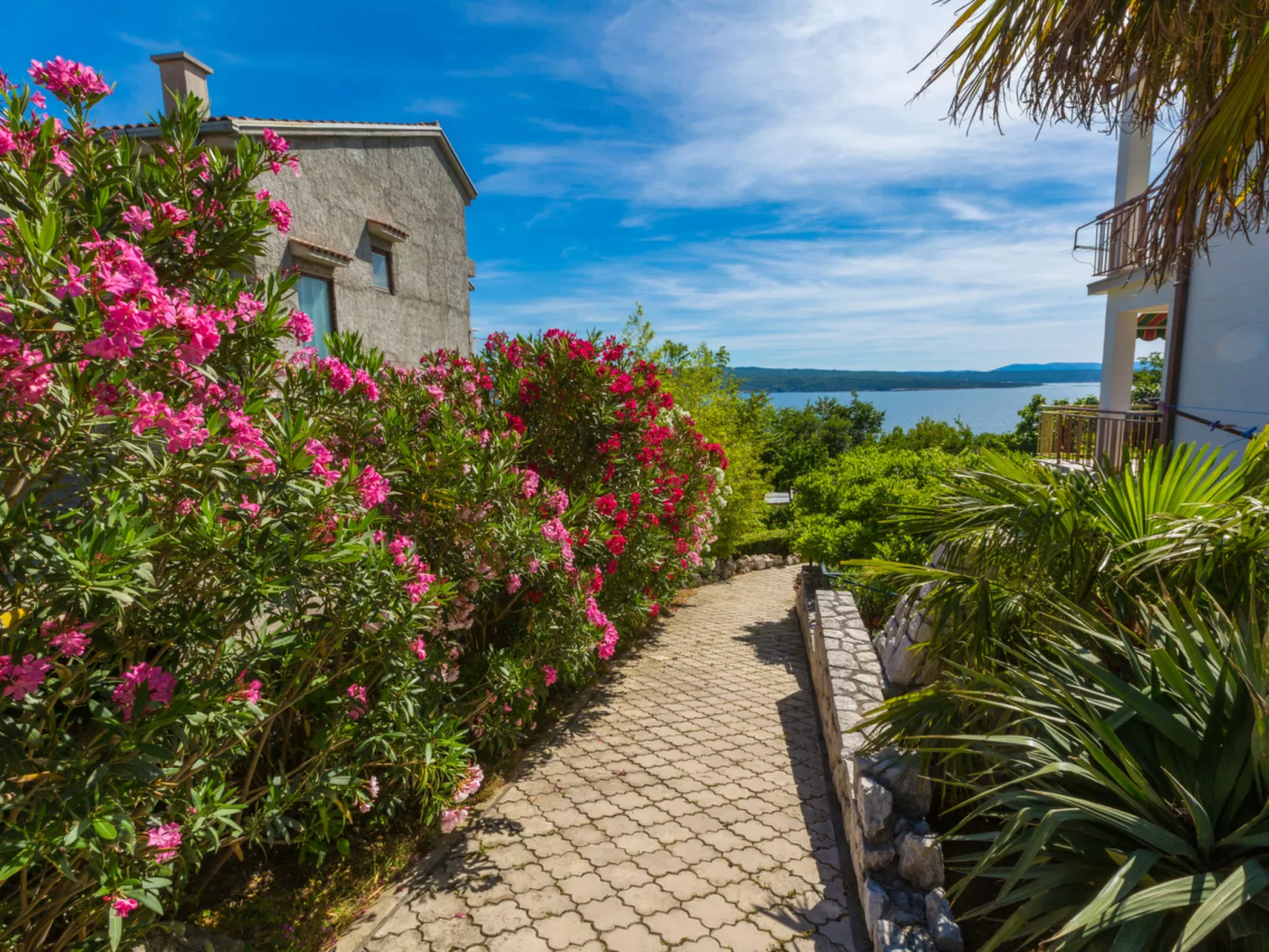 NELLA 2 / HR-01829-02 - Image-tags.info