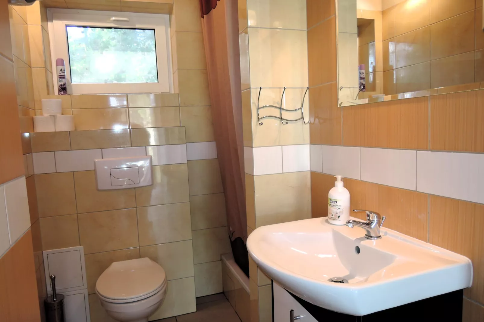 Holiday complex in Jezierzyce by Szczecin at the lake for 4 persons 30 qm Typ B Zielony - Bathroom