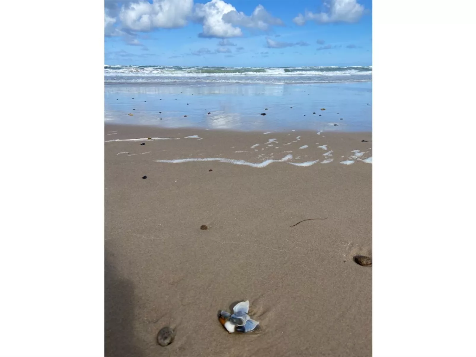 "Walderik" - 423m from the sea - Outside