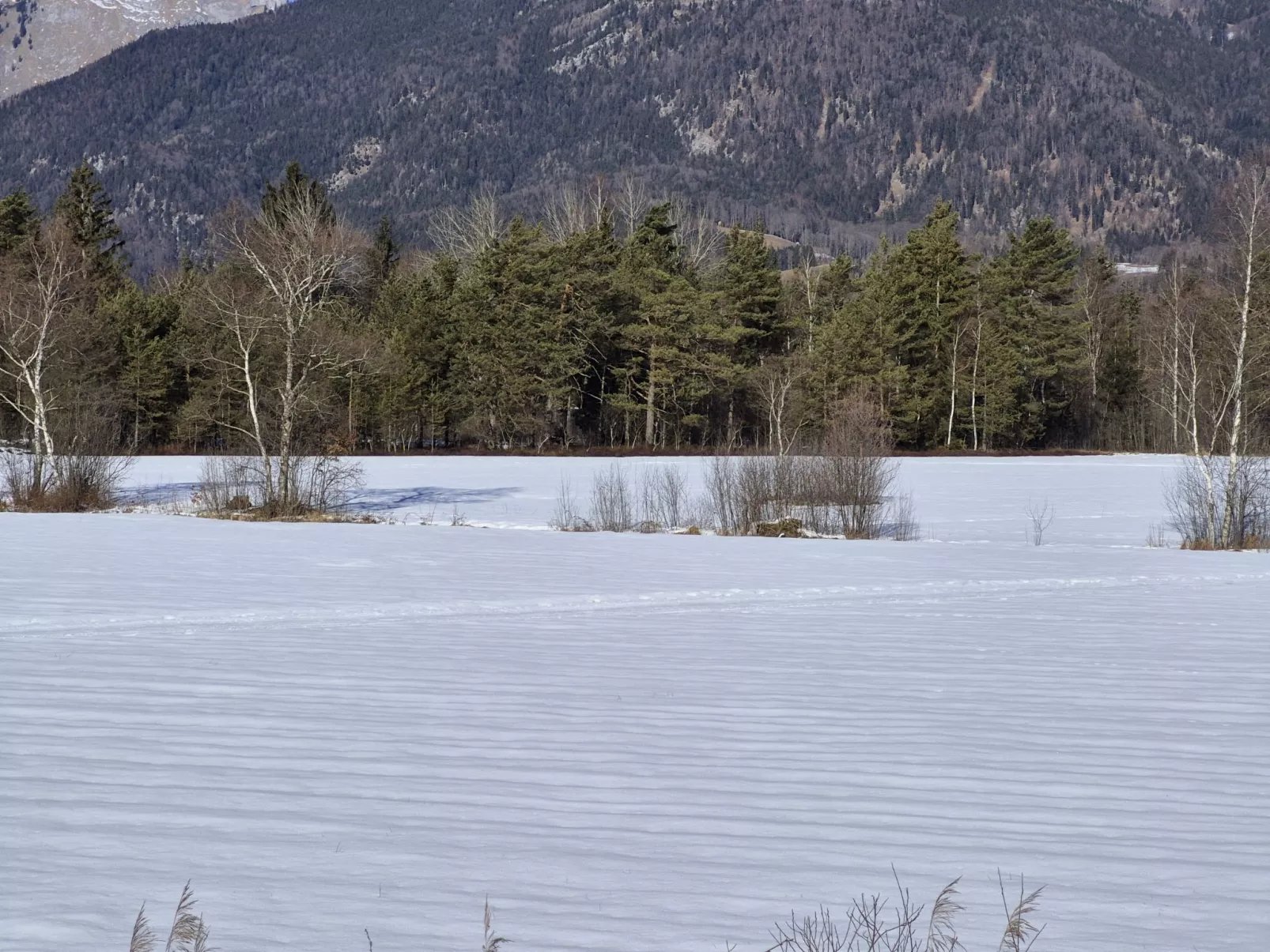 Wohnung 421 Seeblick - Outside