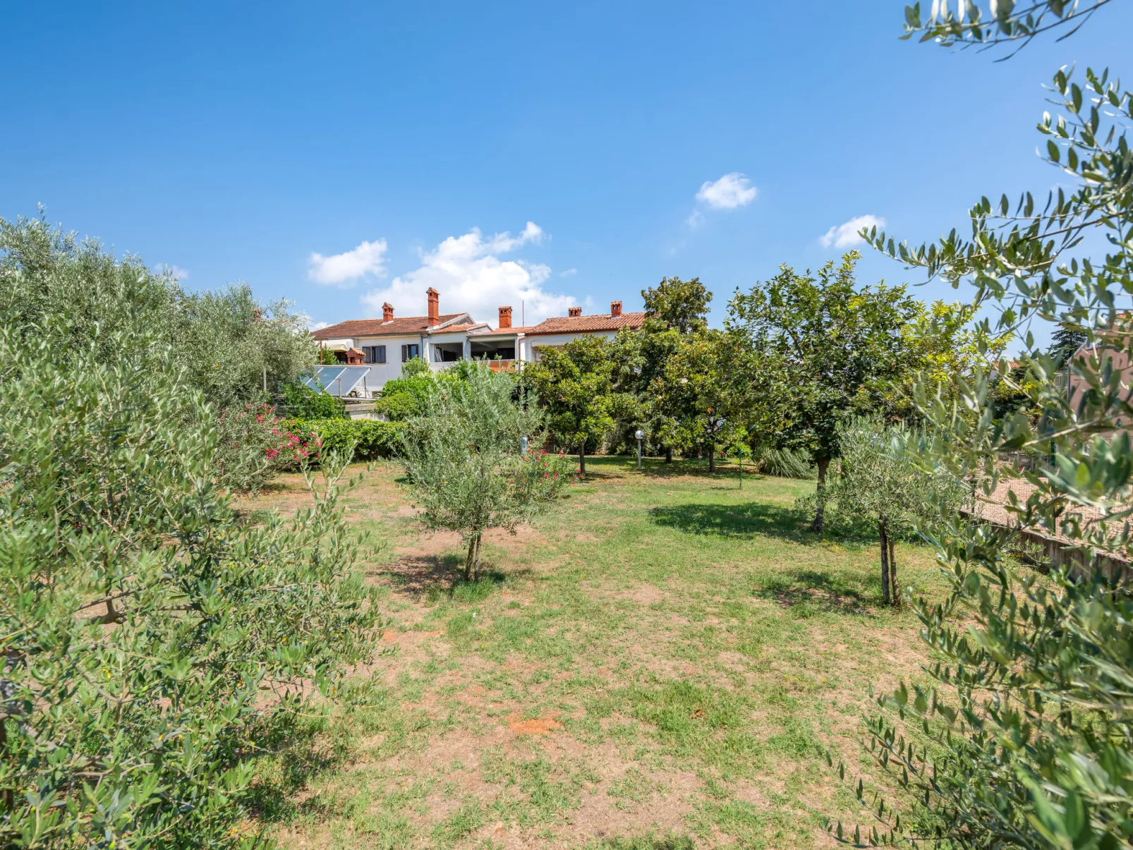 Apartment 1699 - Image-tags.info