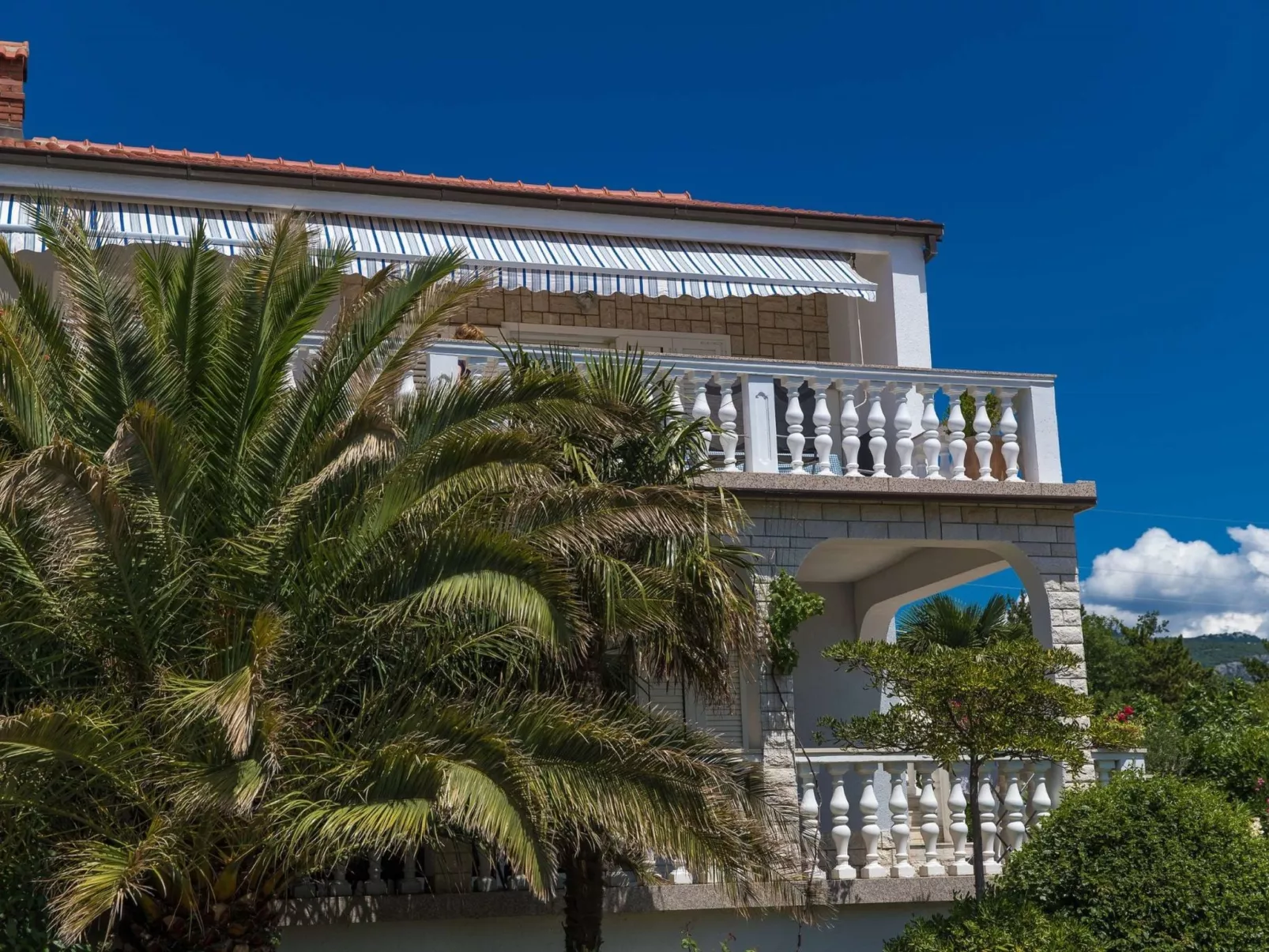 ZDENKA / HR-10422-01 - Image-tags.info