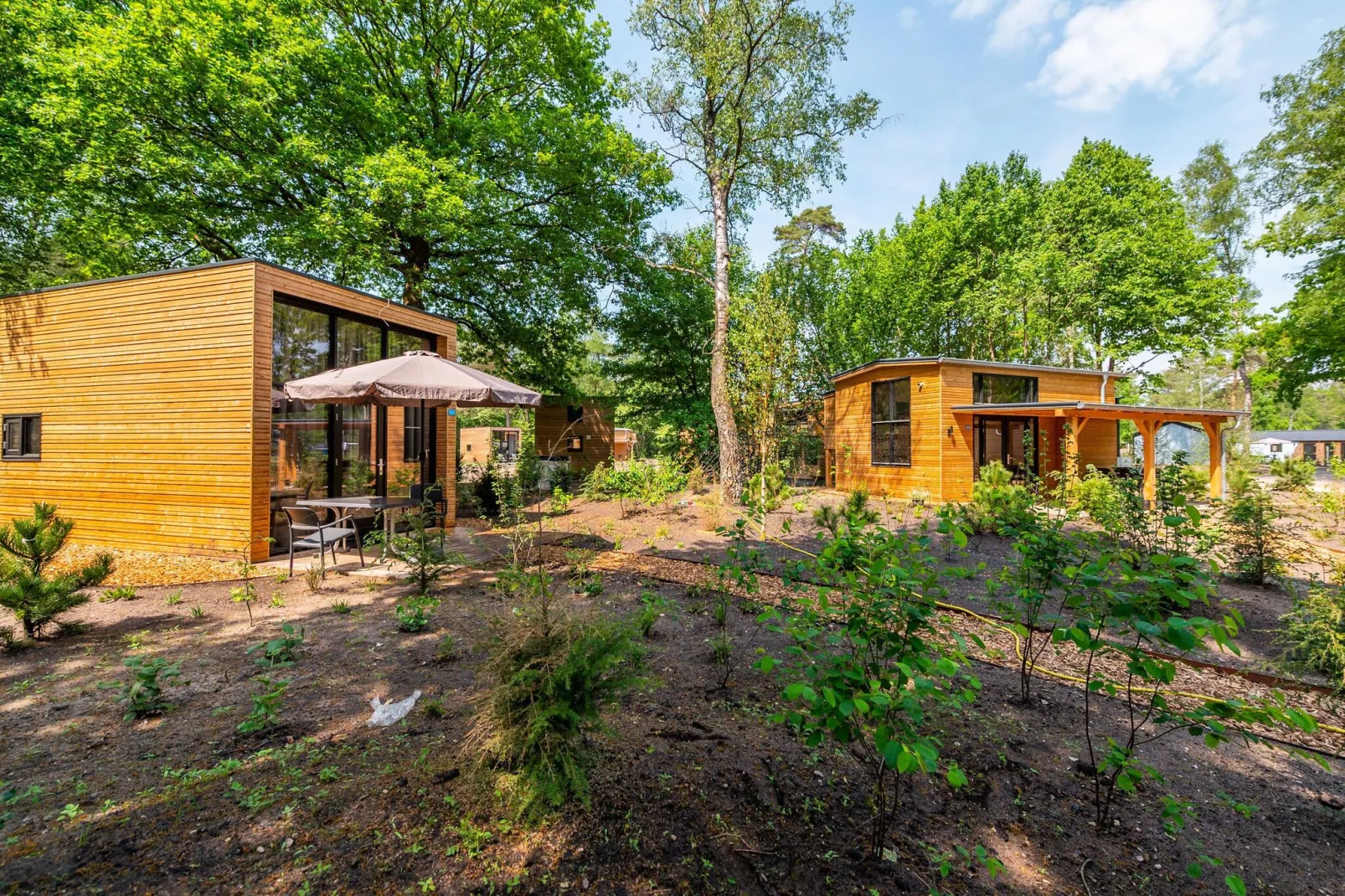 Resort Hooge Veluwe 12-Areas summer 1km