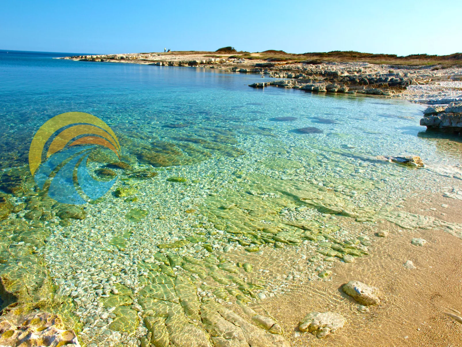 Apartment 1728 - Image-tags.info