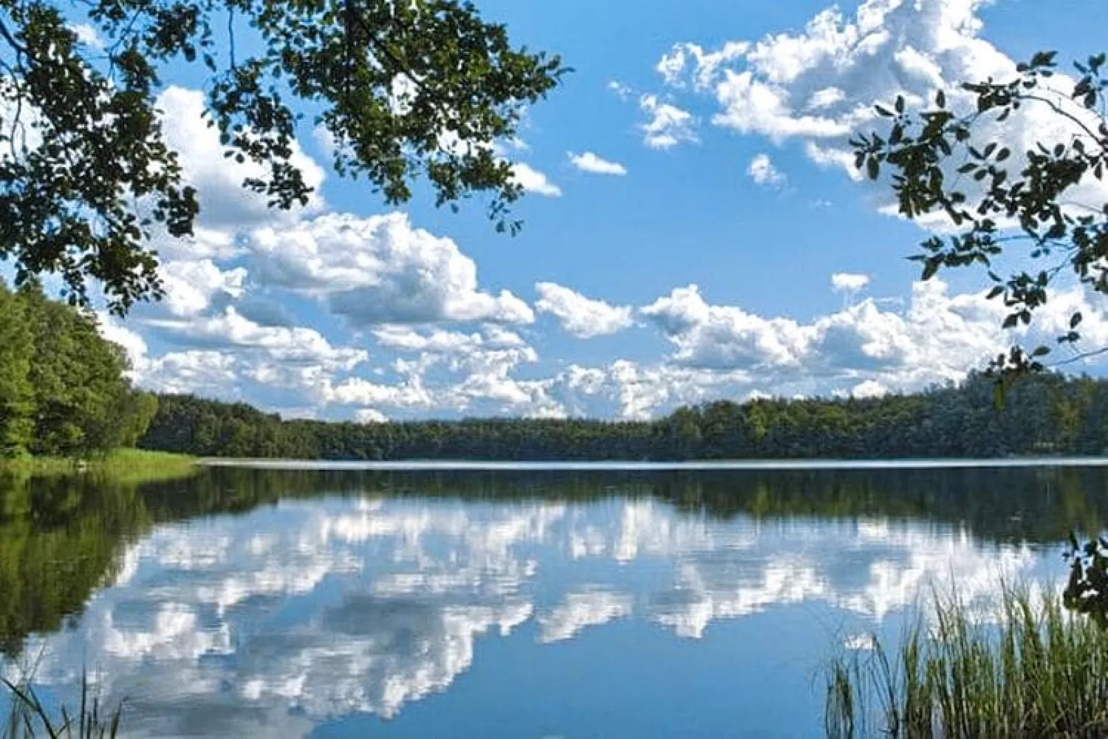 Domek letniskowy Dąbrowica-Water view