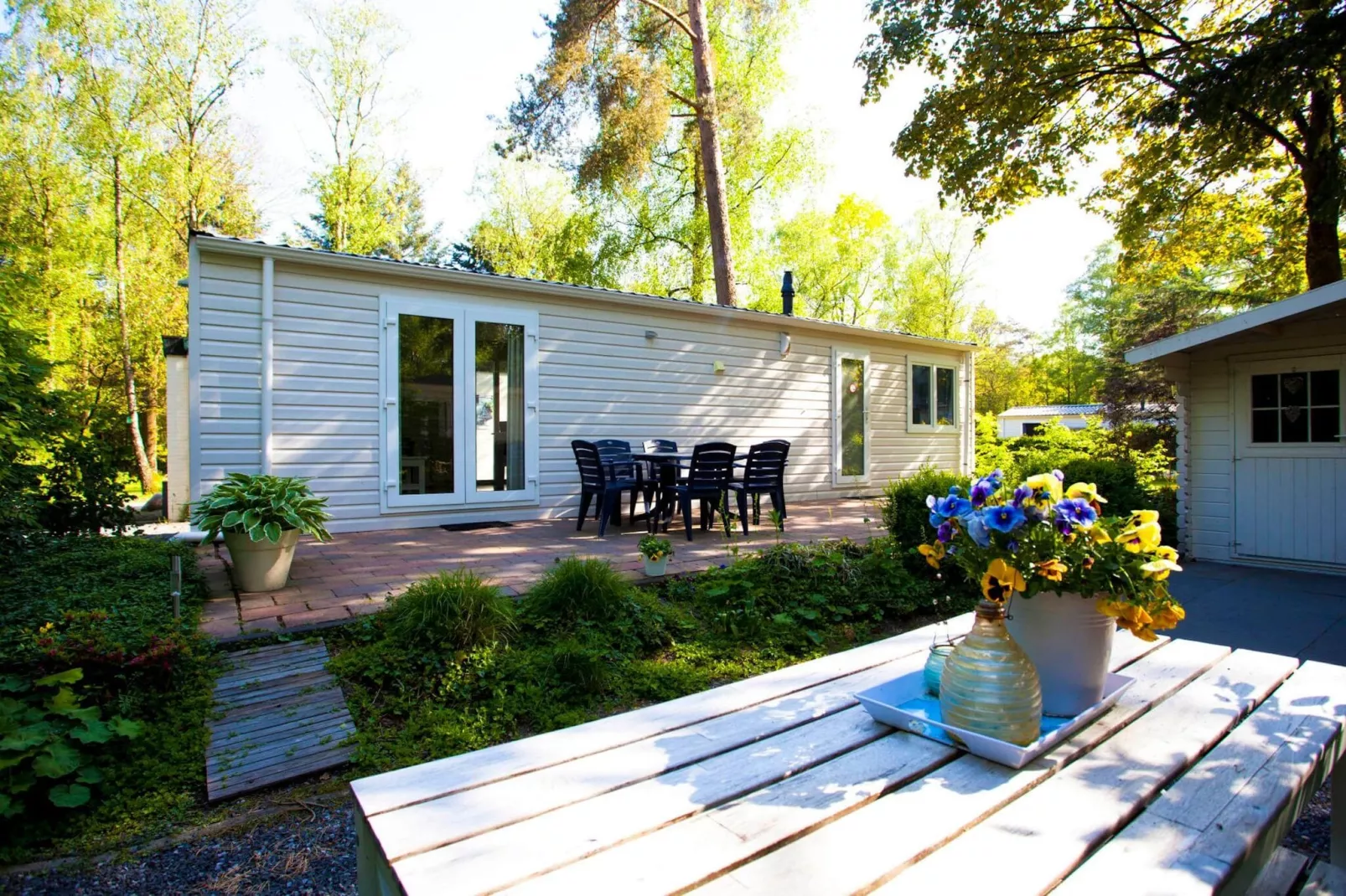 Resort Hooge Veluwe 13-Exterior summer