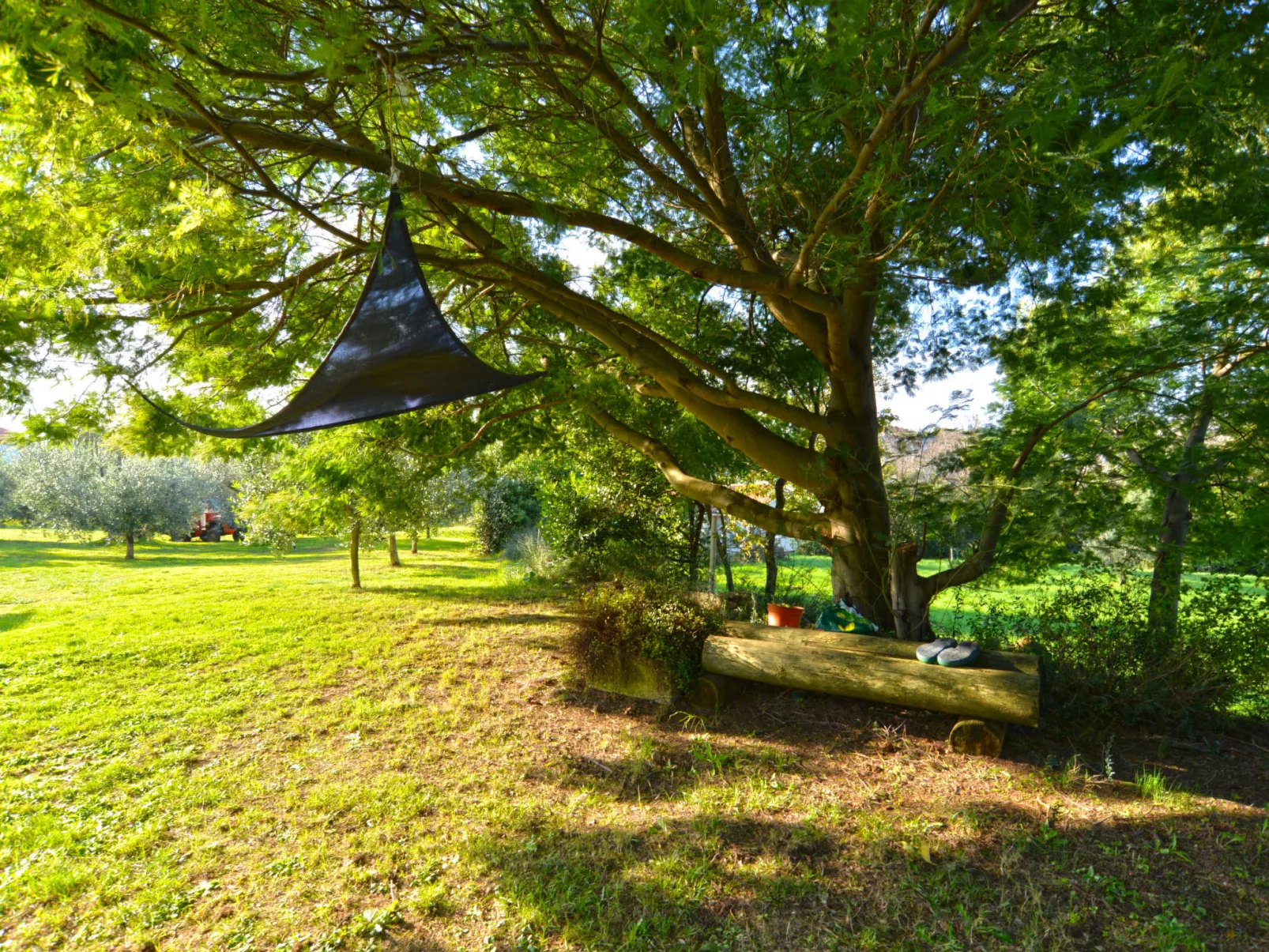 Apartment 1773 - Image-tags.info