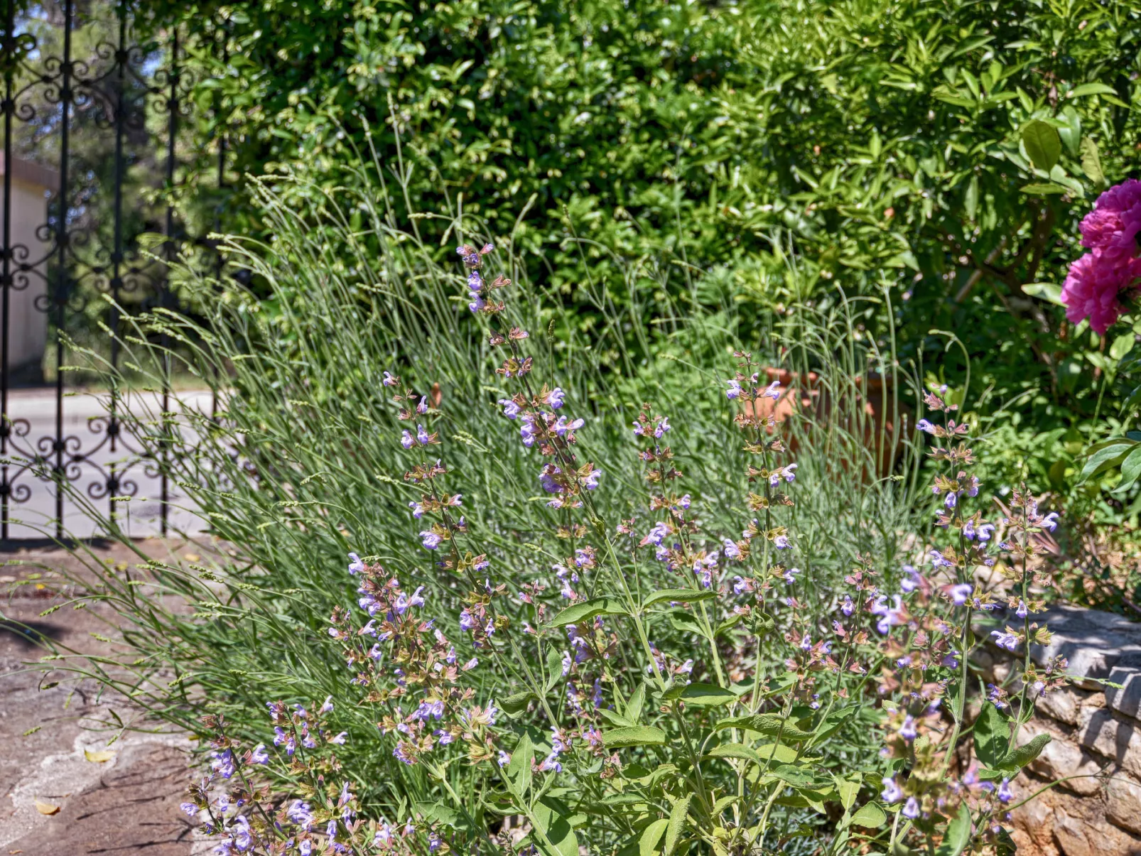 Apartment 1642 - Image-tags.info