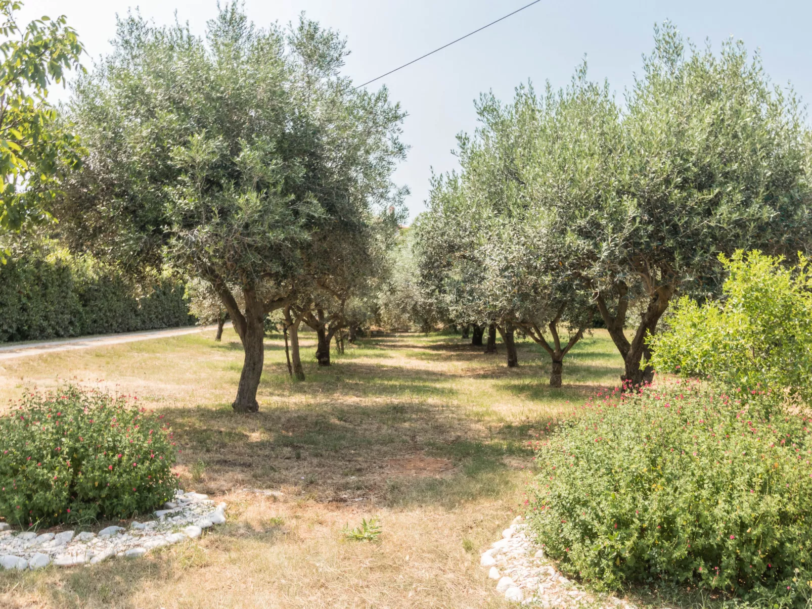 Apartment 1706 - Image-tags.info