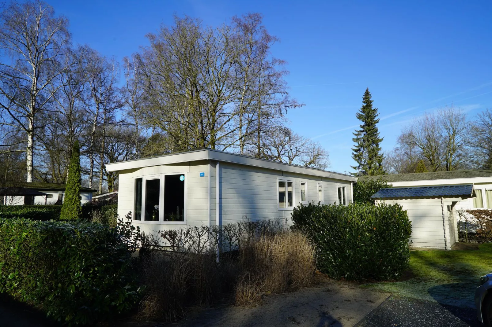 Resort Hooge Veluwe 16-Außenbereich Sommer