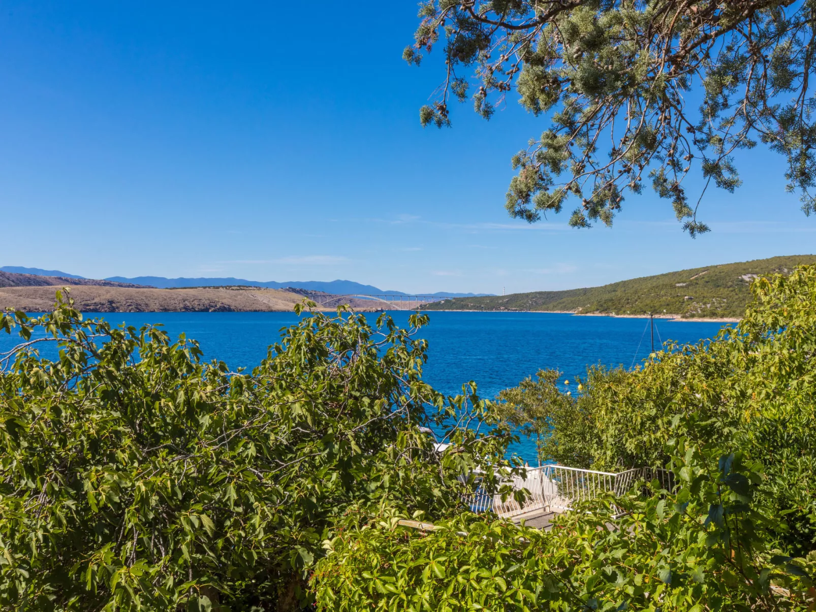 ANTONIA / HR-01846-01 - Image-tags.info