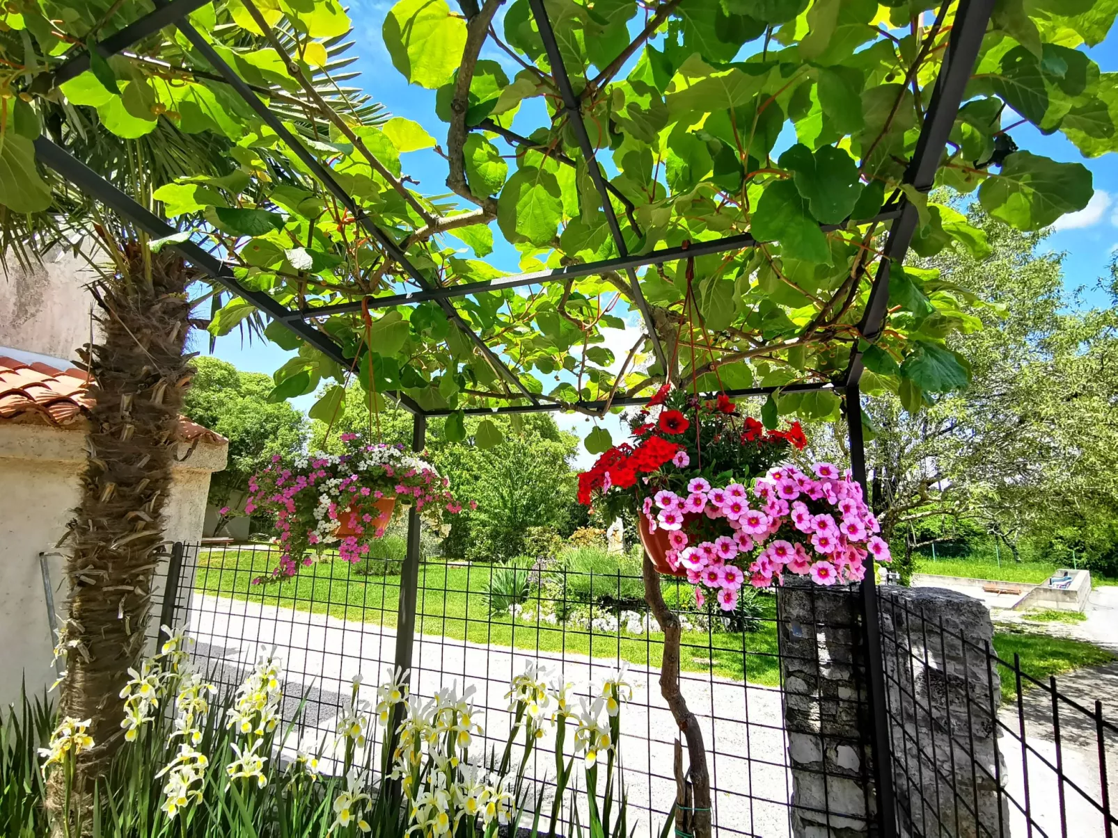 Apartment 1814 - Image-tags.info