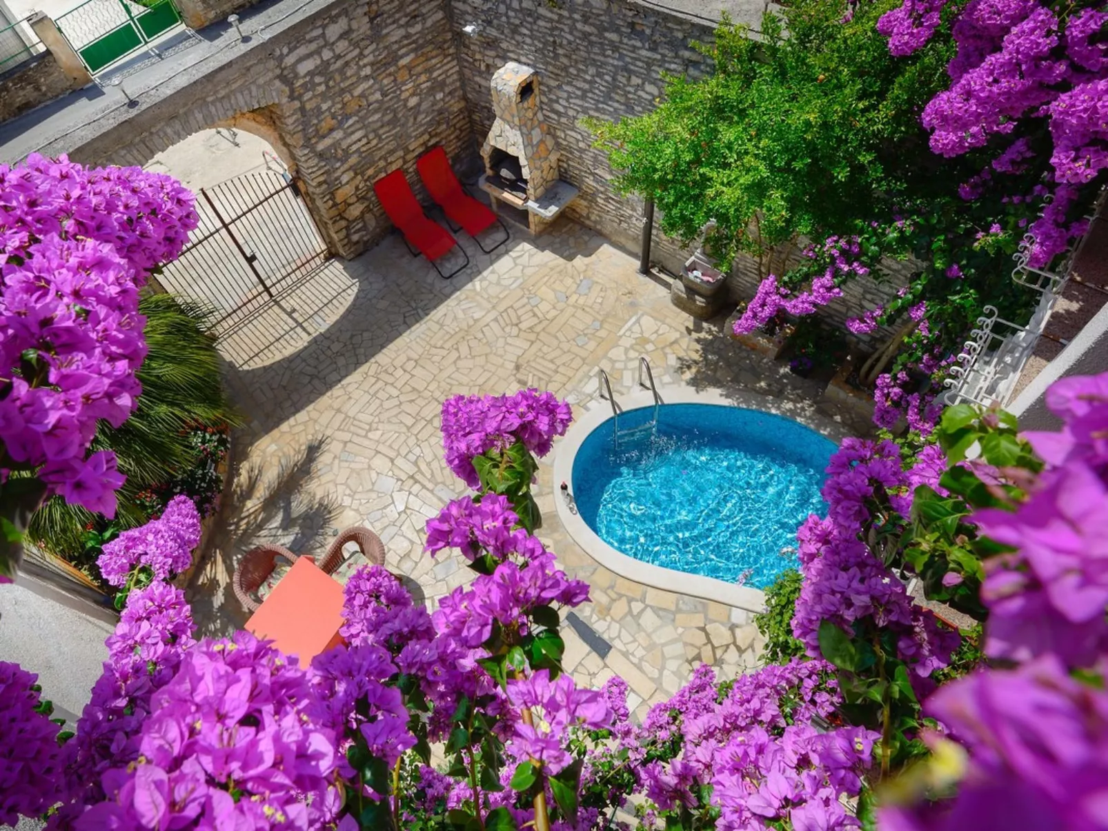 House Samia - Image-tags.info