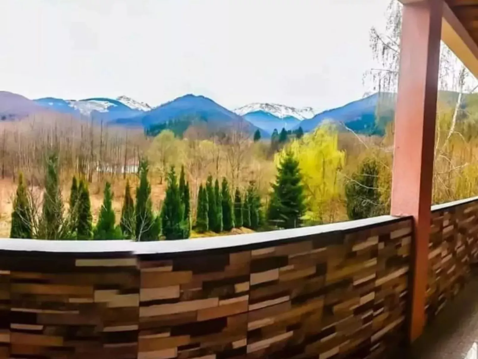 Vila Roberta Breaza Brasov - Outside